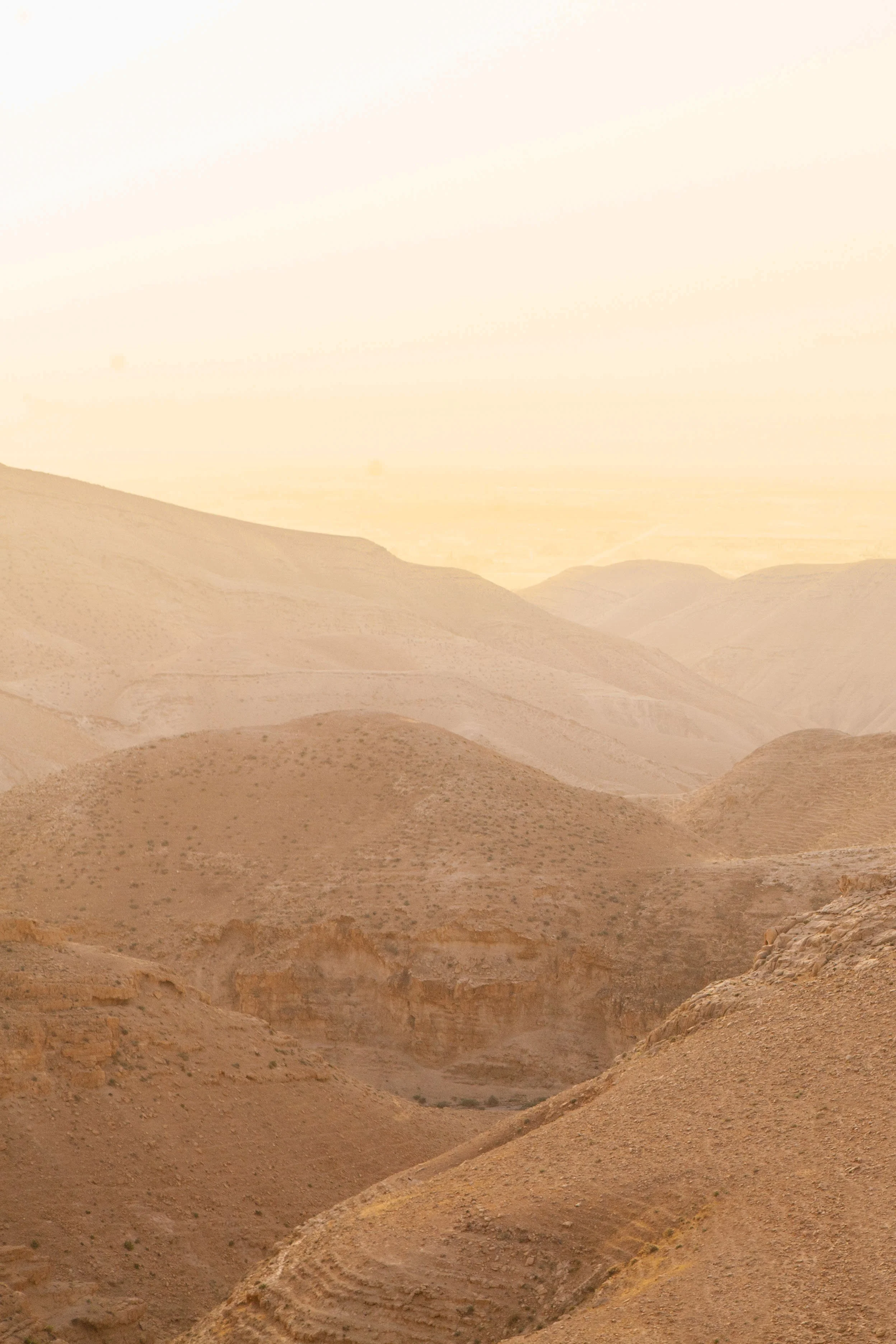 Desert Sunset.jpg