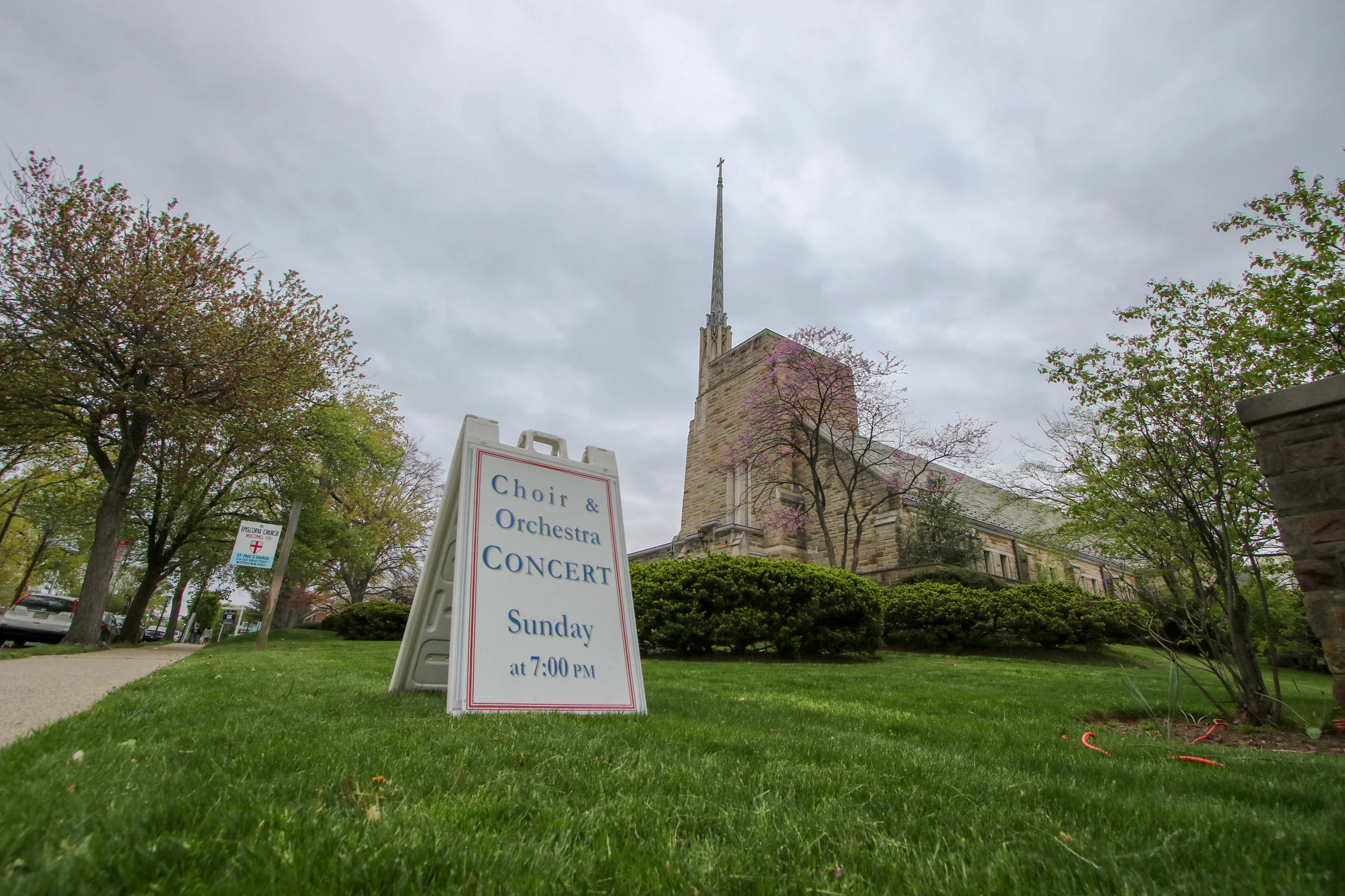 180506_025_stp_9169.jpg