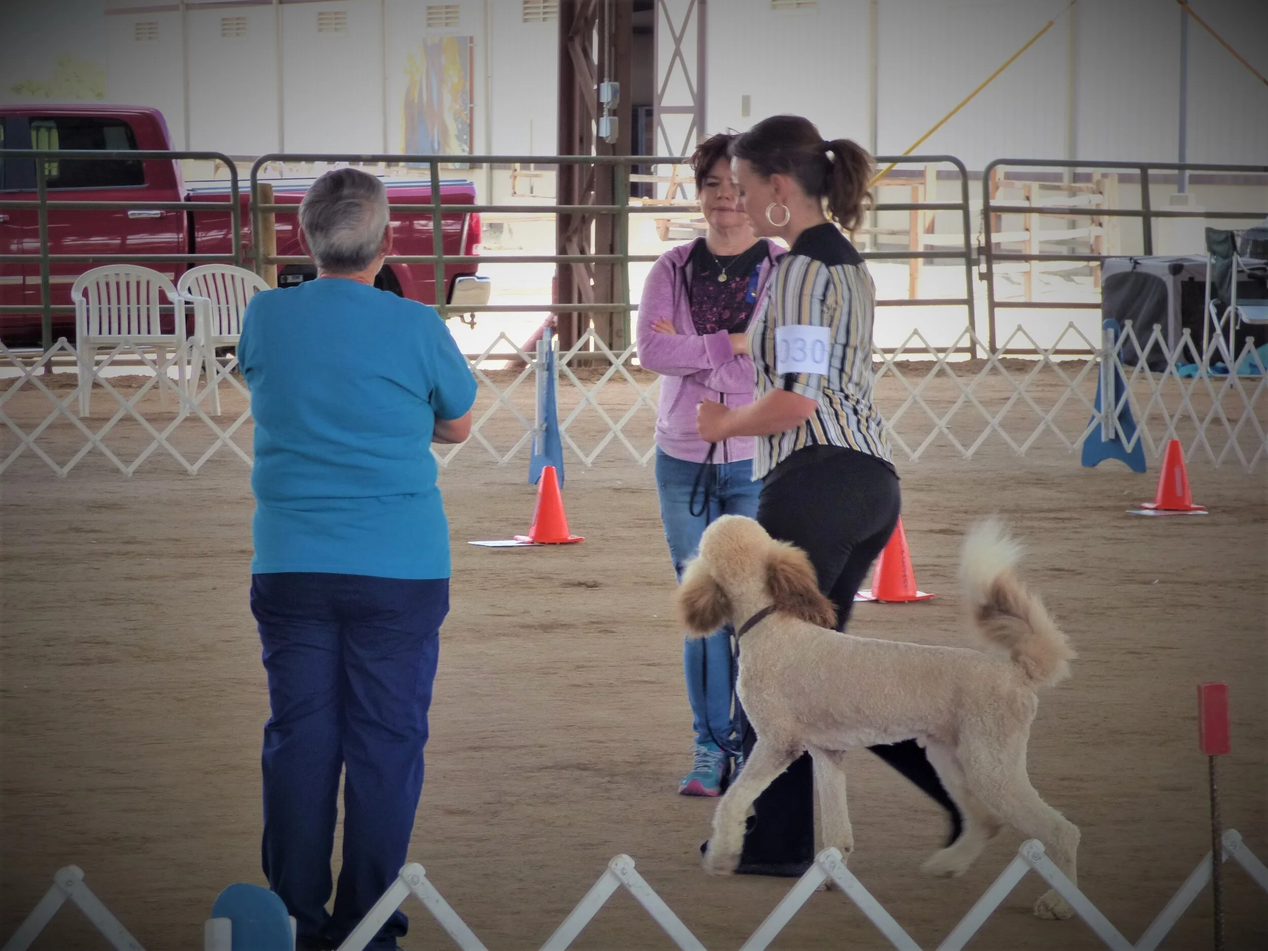 AKC Obedience