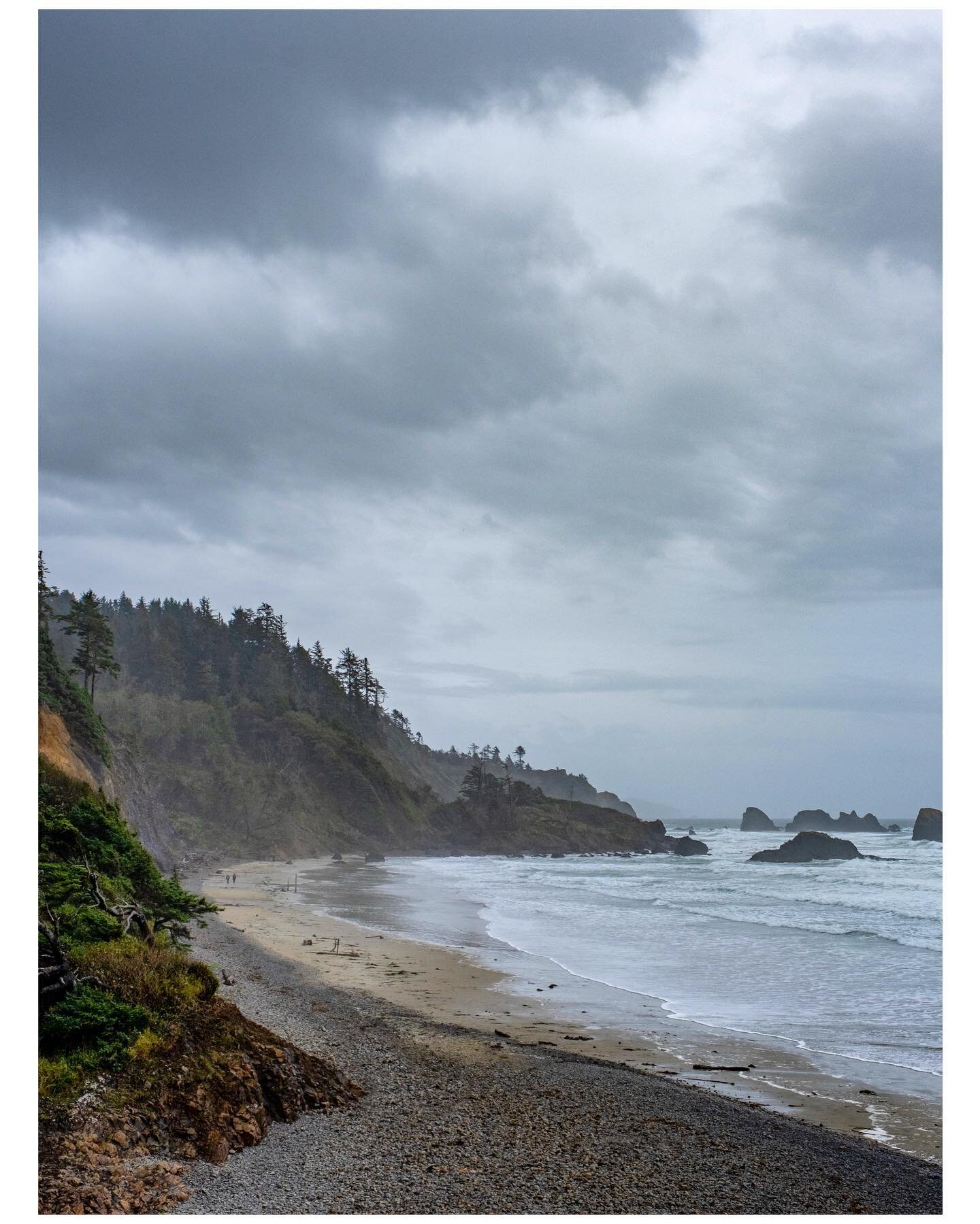 It&rsquo;s hot AF here in DC and I&rsquo;m missing the cool, drizzly days of the PNW. 
#landscapephotography #hikemore #travelgram #travelphotography #hikemoreworryless #pnw #pnwadventures #pnwonderland #ecolastatepark #exploreoregon #visitoregon #la