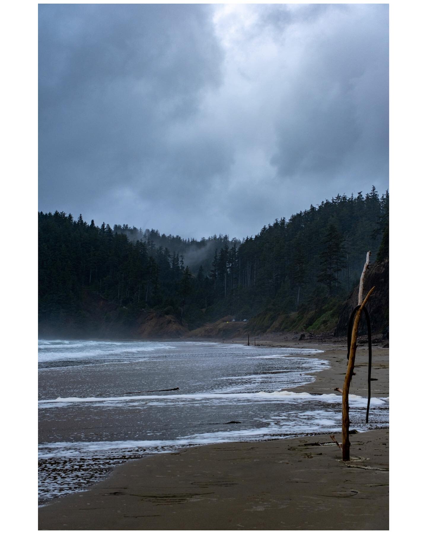 It&rsquo;s rainy and dark today in Virginia, so this feels fitting to match my mood. 
#optoutside #moodygrams #exploreyourworld #pnw #pnwonderland #pnwadventures #traveltheworld #exploreoregon #explorepnw #visitoregon #hikemoreworryless #hikingadvent