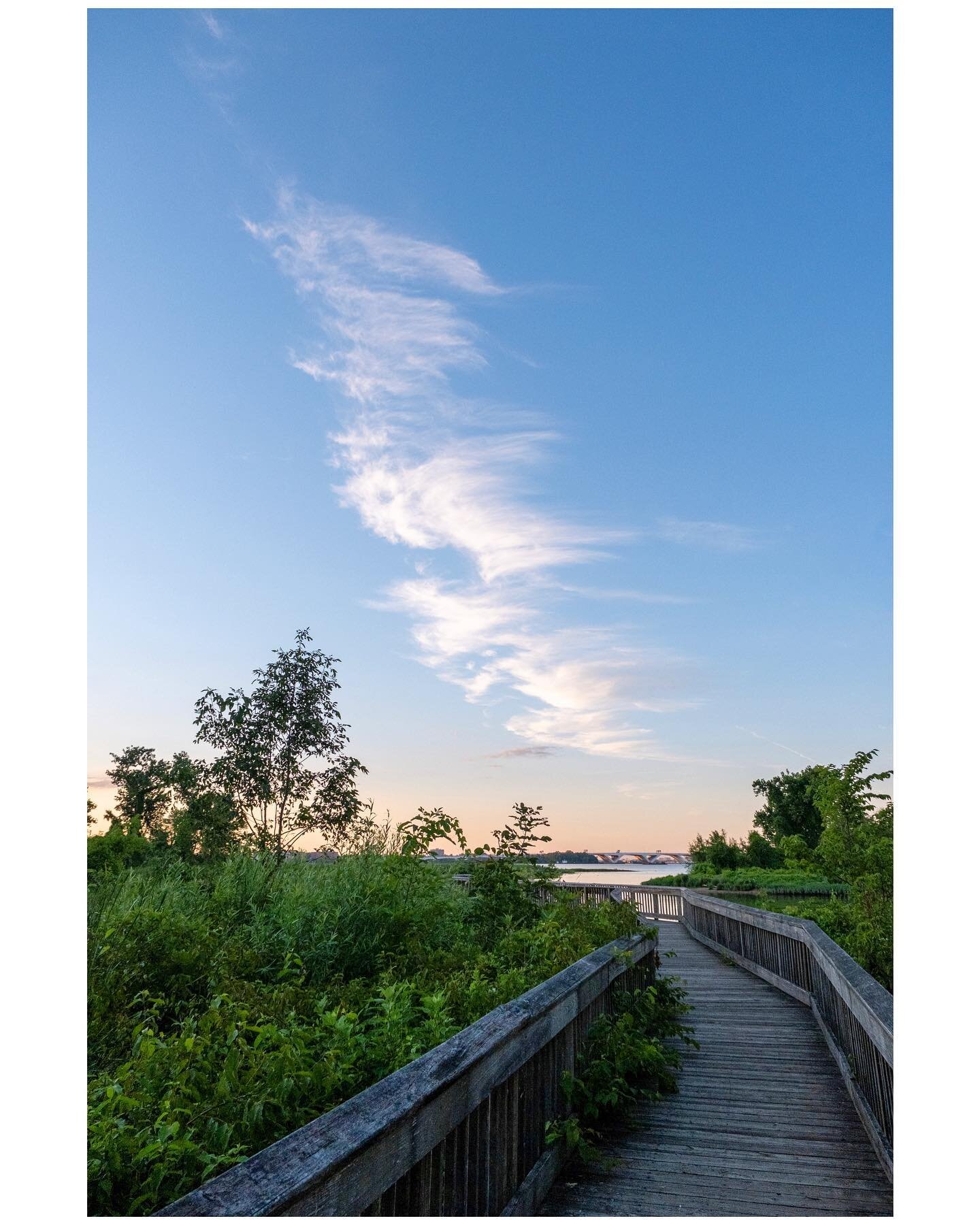 I mean, it&rsquo;s not going to break the IG algorithm with its amazingness, but it was a nice night and I haven&rsquo;t shot anything locally for a while. 
#softlight #explorevirginia #sunset_pics #fujilove #fujifilm_xseries #fujifilmxt3 #optoutside