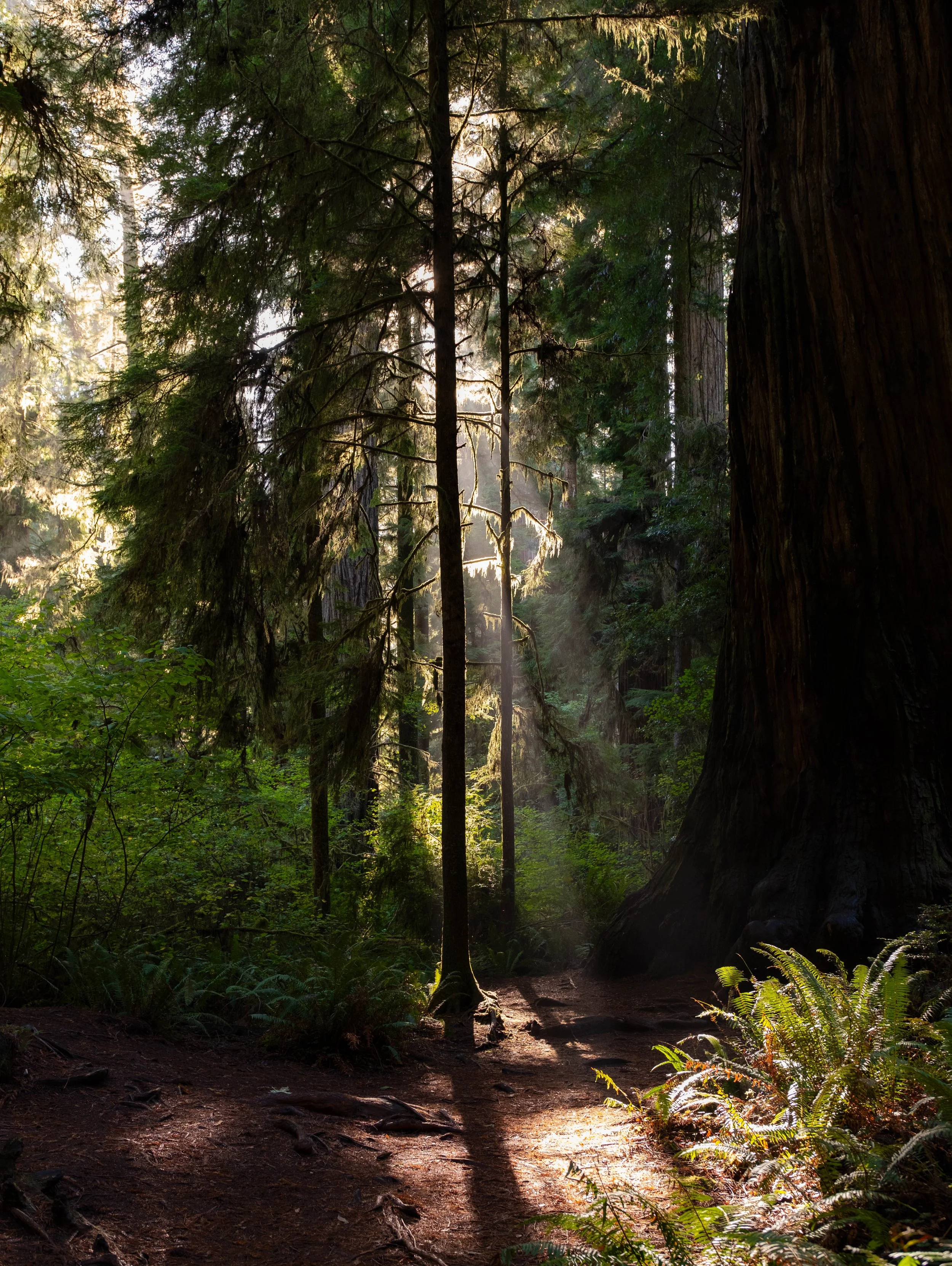 PNW Travelogue - Day One