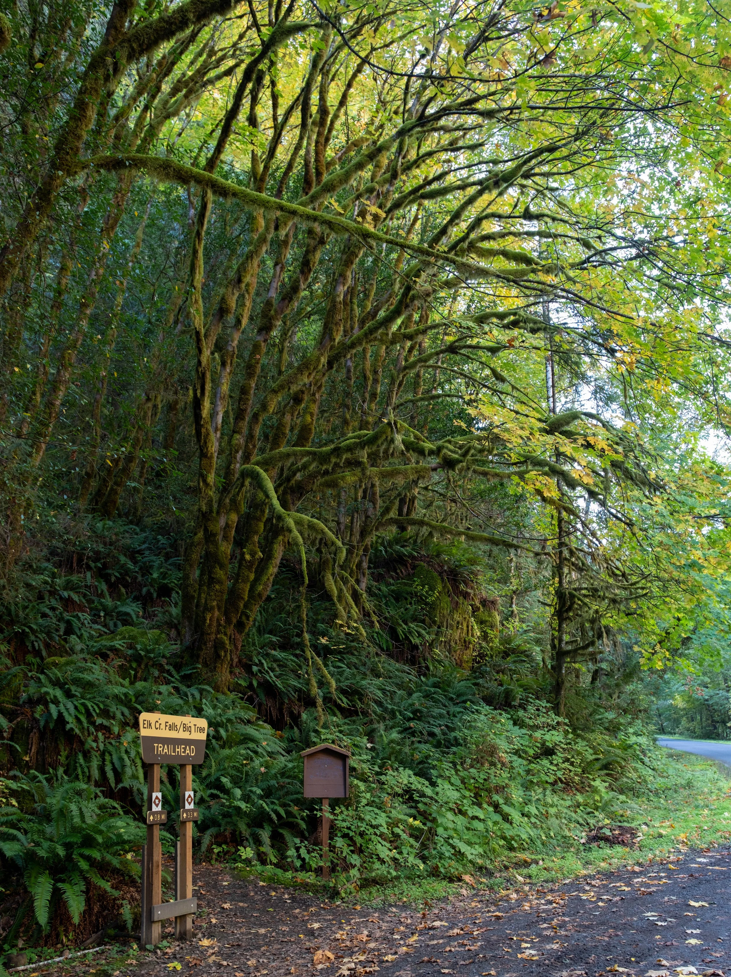 PNW Travelogue - Day Six