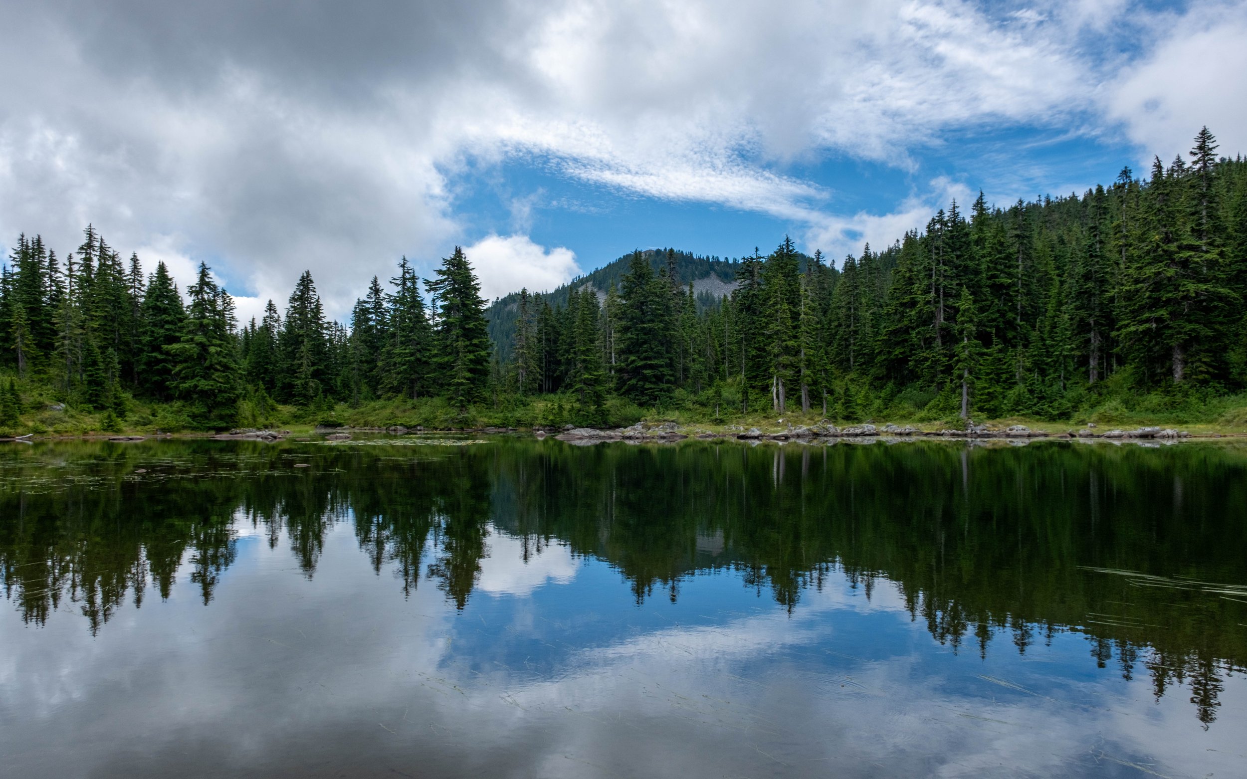 Mason Lake with a bit of Sir Richard's Pond