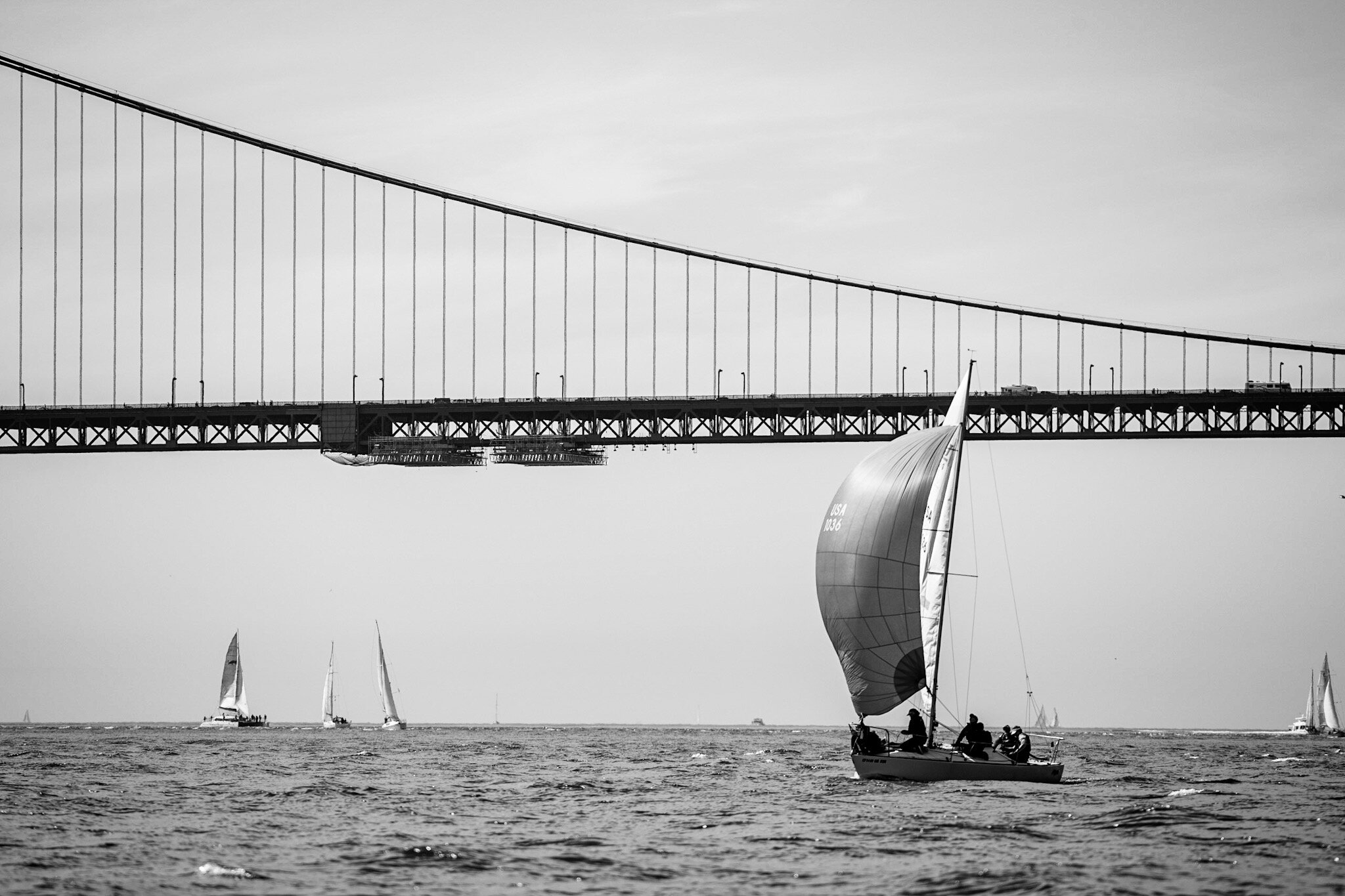  A lone J24 with spinnaker out, cutting across the Golden Gate Bridge 