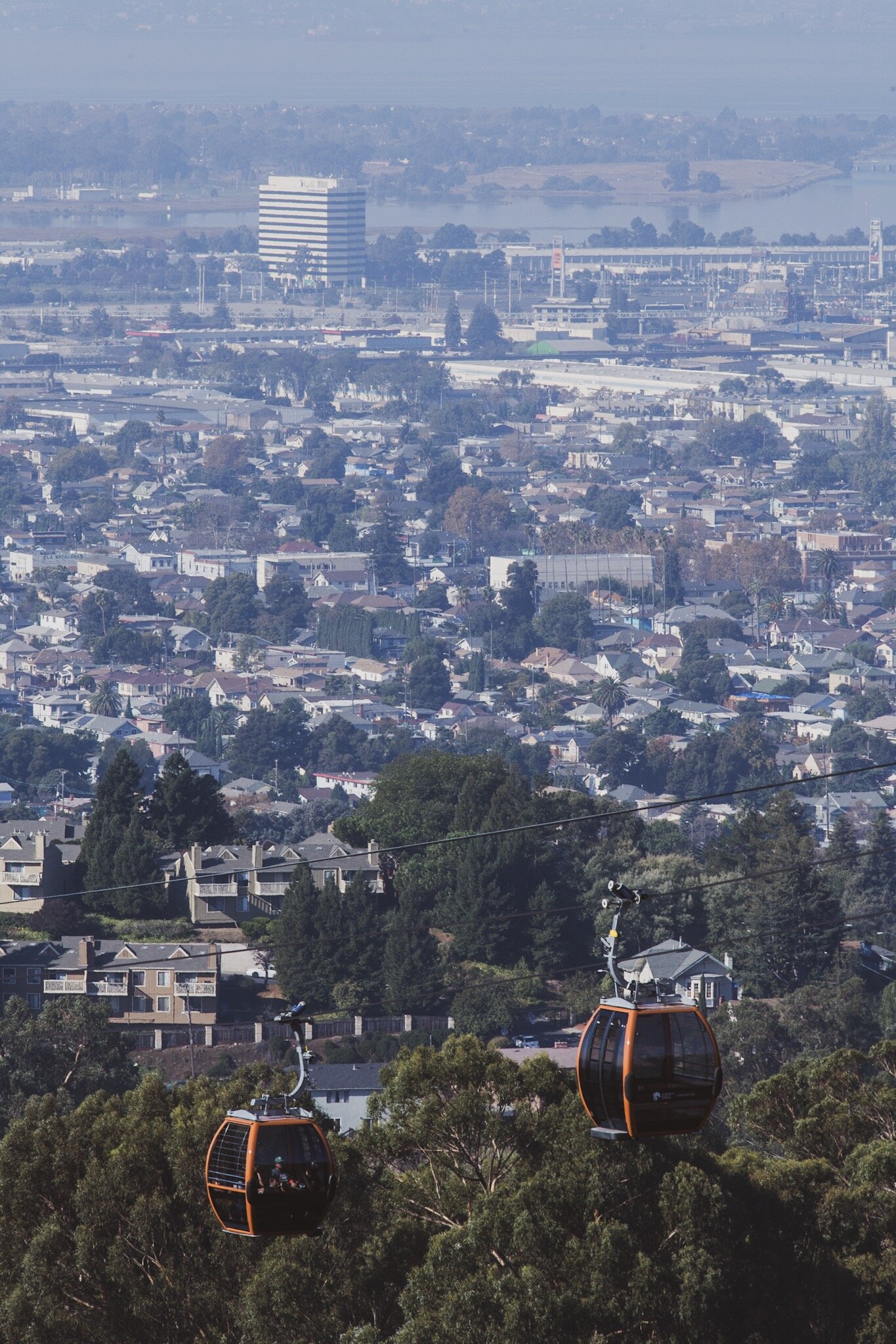  The Oakland Zoo Gondola takes you to the top of the Oakland hills, and offers a pretty spectacular view of the Bay Area. Was a little hazy today from recent wild fires unfortunately 