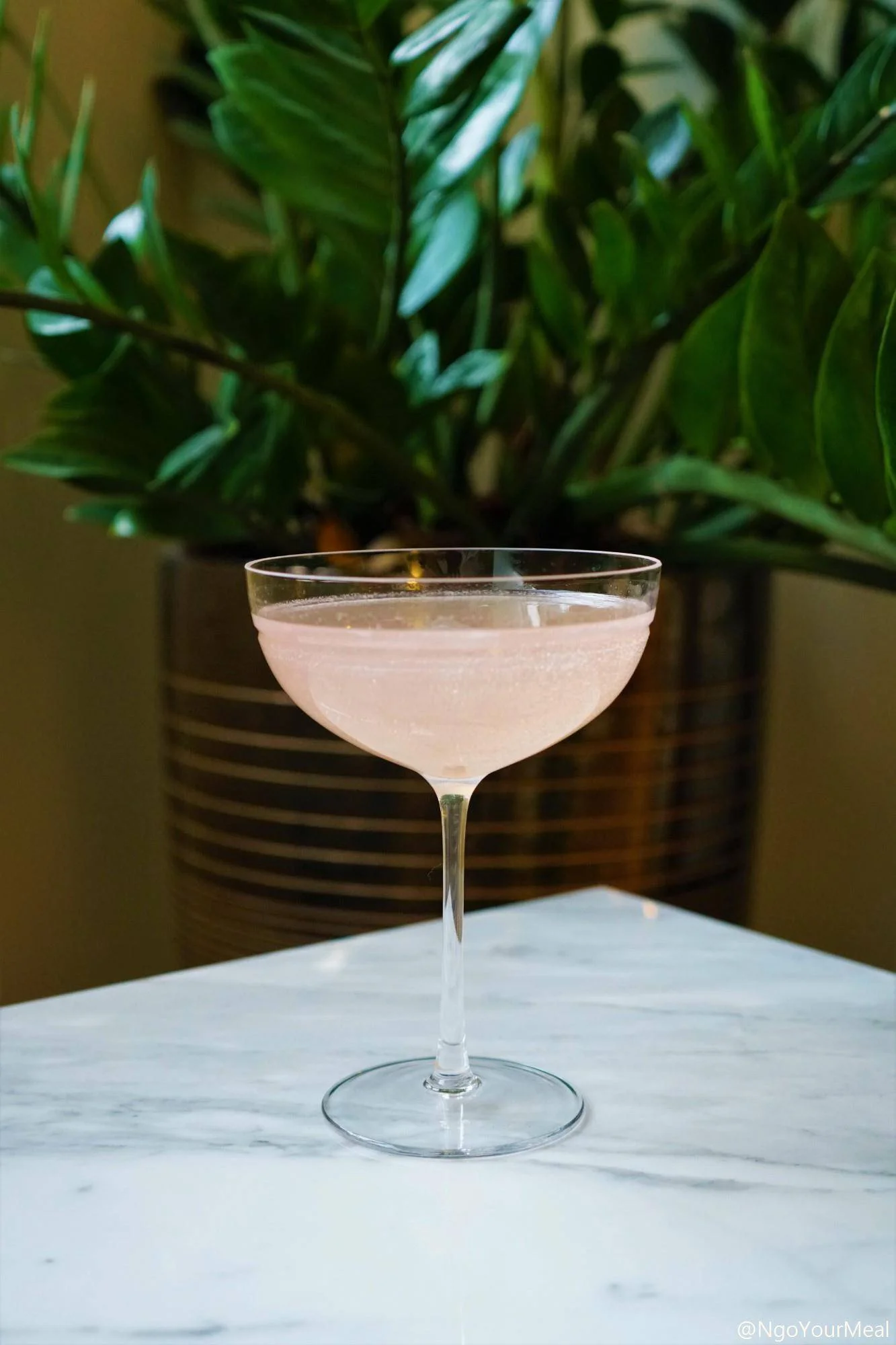 Curated Libations: Nardis from Angel's Share