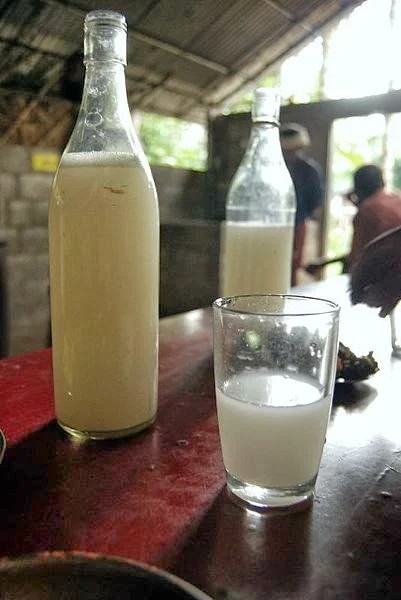 Tuba. Source: Dhruvarahjs