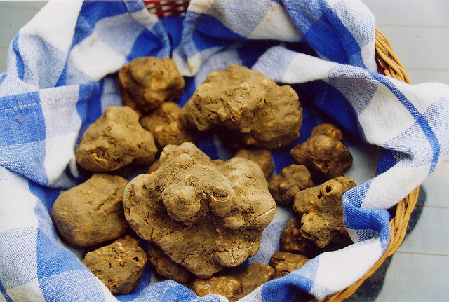 White Truffles. Source: Tuscanycious