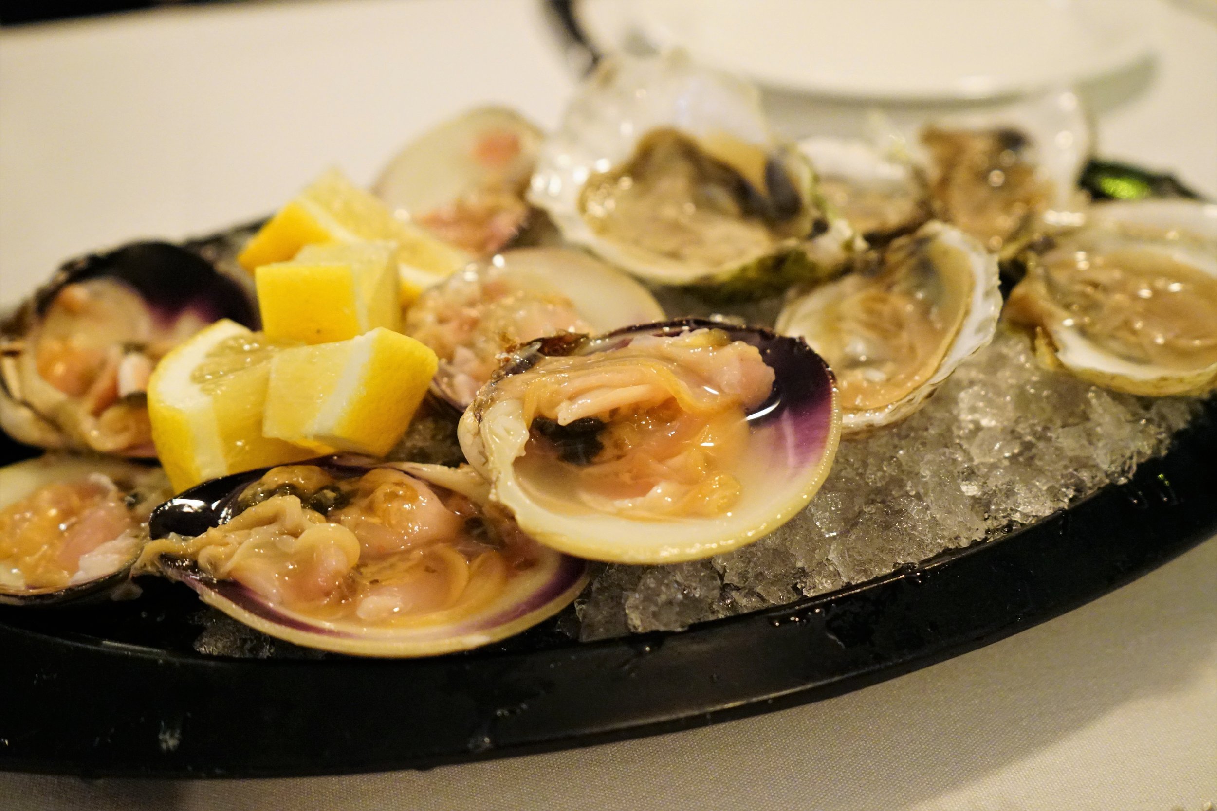 Oysters and Little Neck Clams at Marliave in Boston
