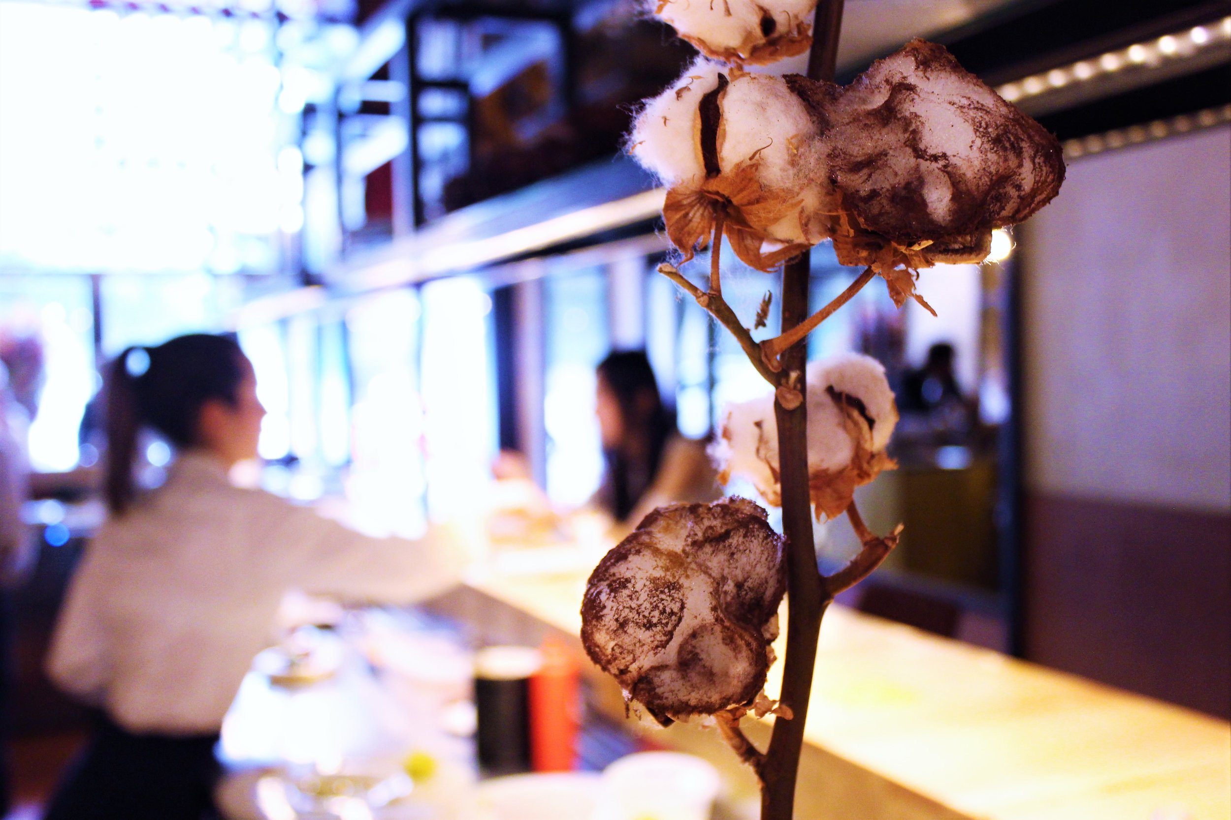 Cotton of Cocoa and Mint at Disfrutar in Barcelona