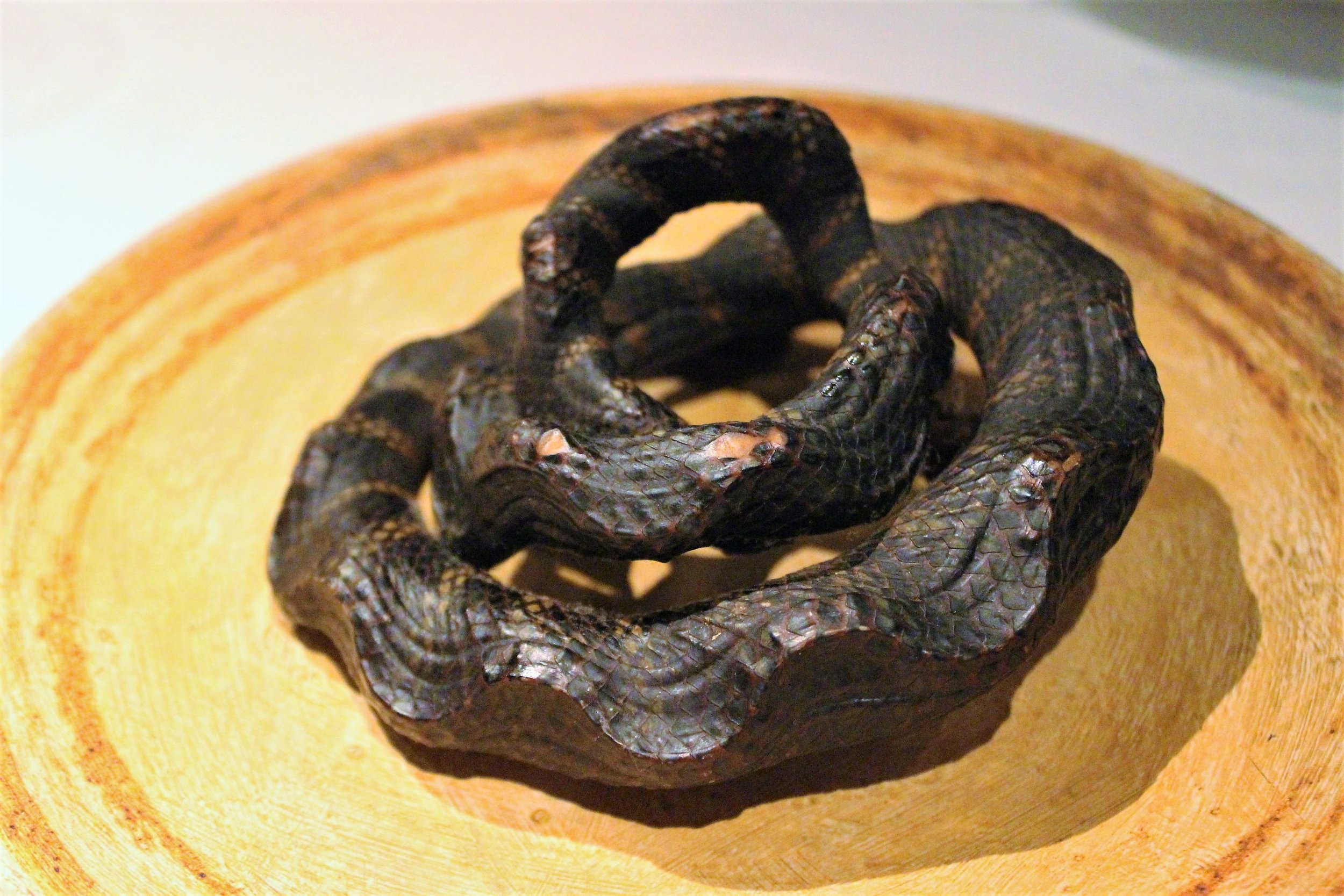 Dried Sea Snake.JPG