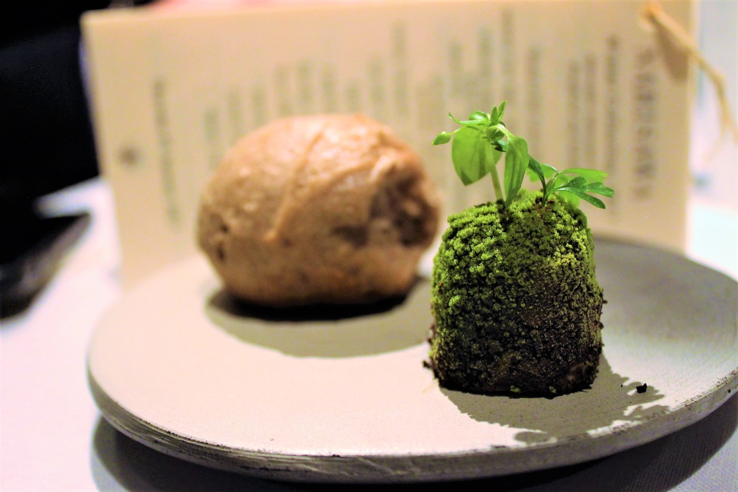 "Bread of the Forest 2010" and Moss at Narisawa in Tokyo, Japan