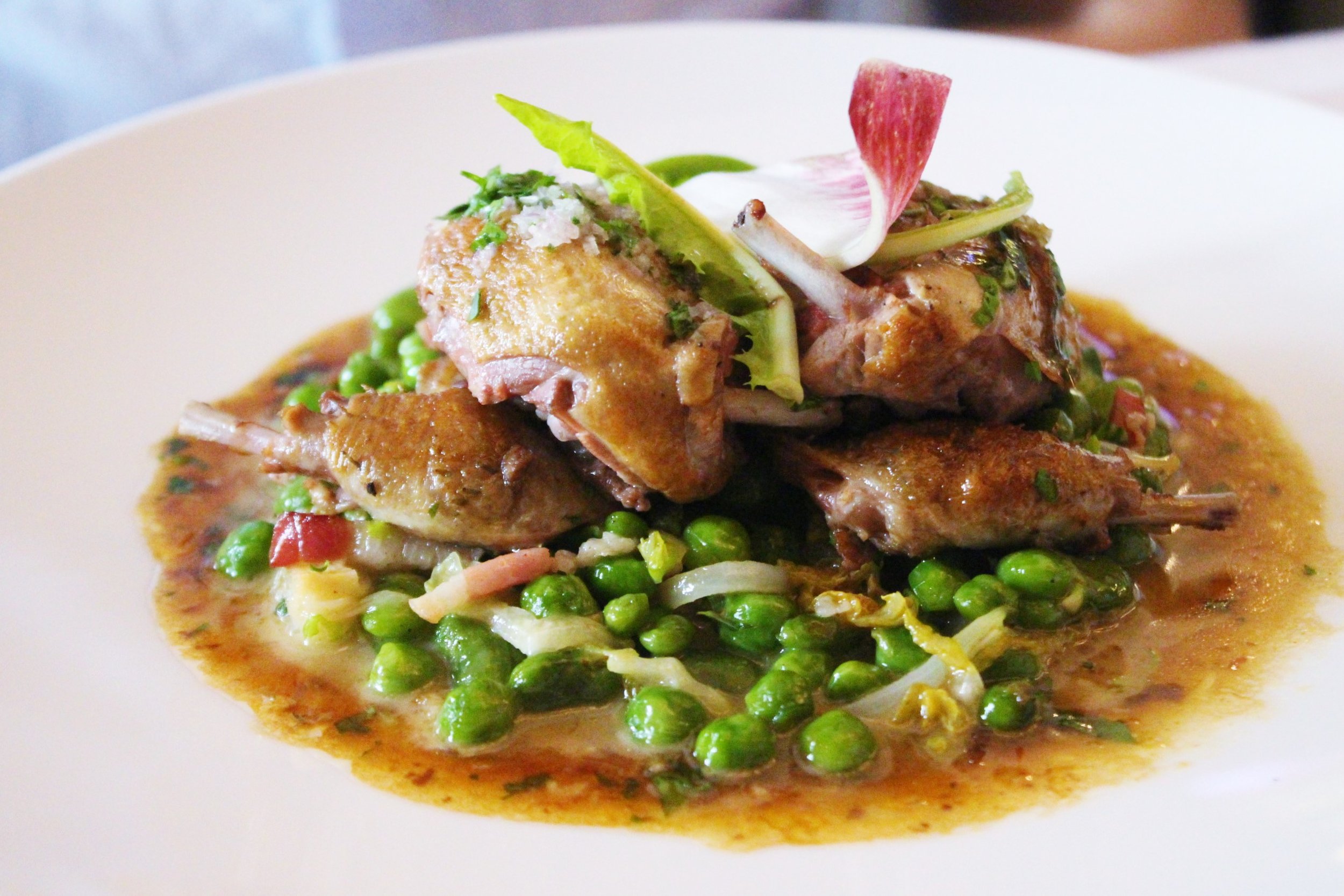 Pigeon Roasted with Grey Shallots, Petits Pois, and Broad Beans a la Francaise