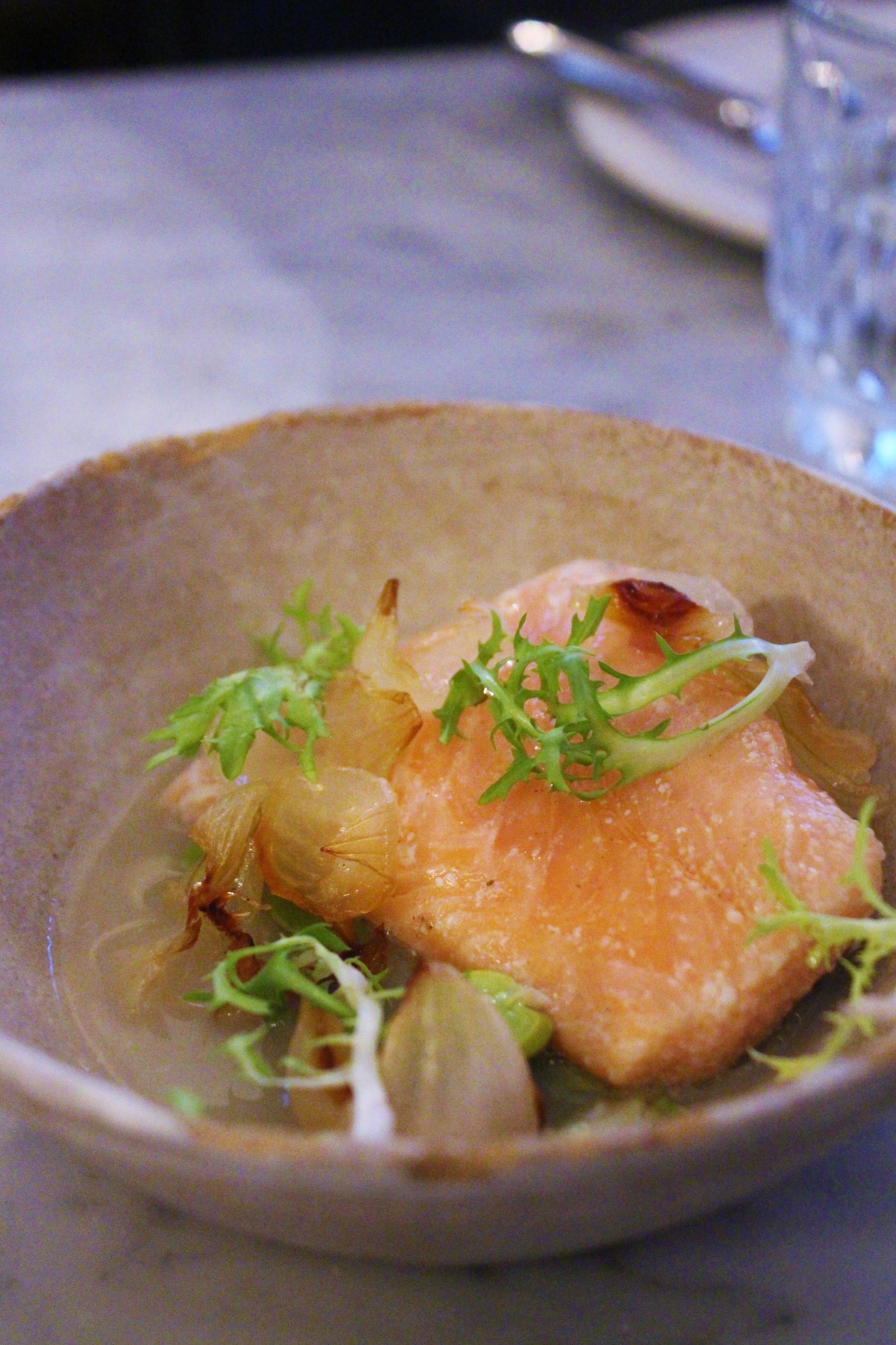 Citrus-Cured Trout, Spring Onion Broth, Red Fava Beans