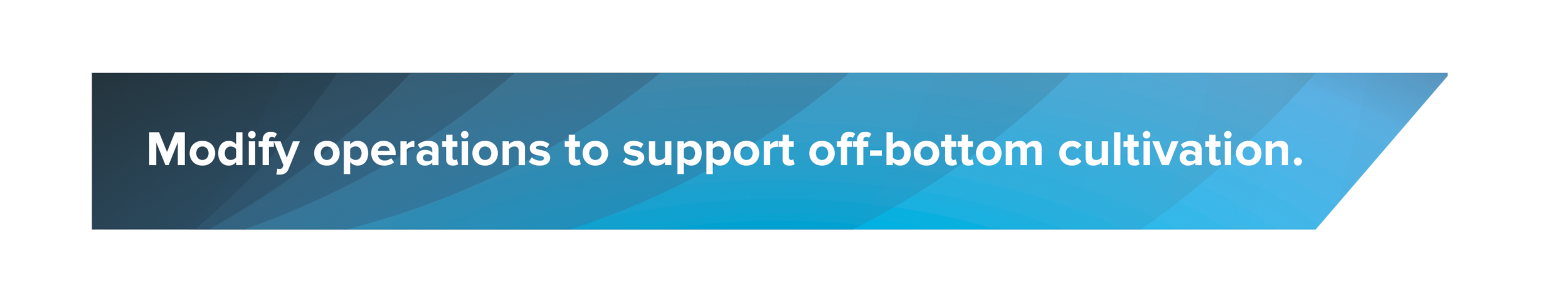 bar2 copy1.png