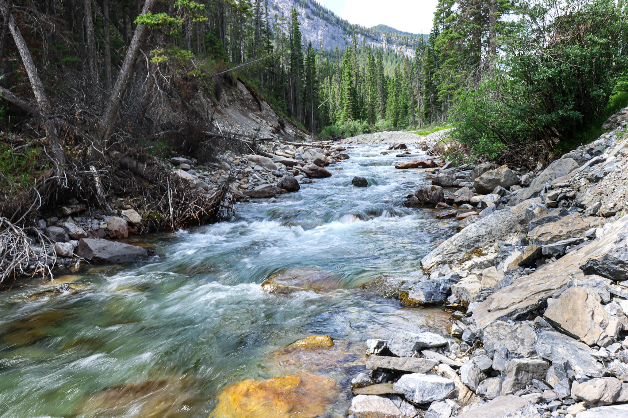 Gentle waters | Banff, Albera
