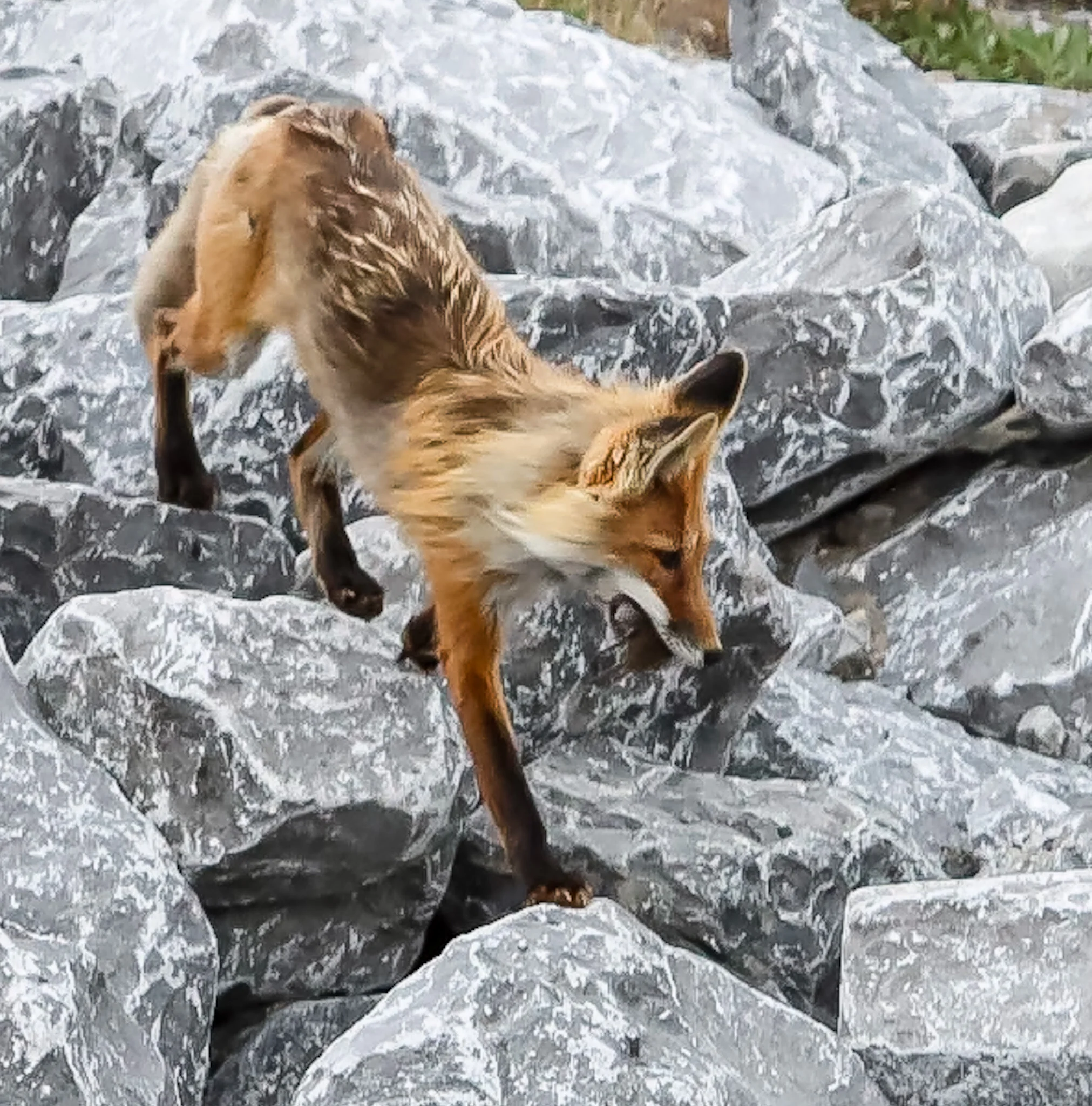 Rock Climbing | Kananaskis Country
