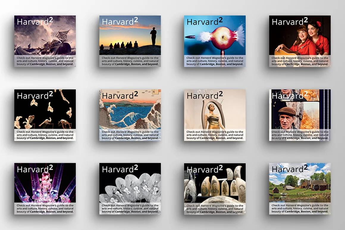 Examples of digital ads utilizing the online identity for Harvard Magazine's regional section, Harvard Squared