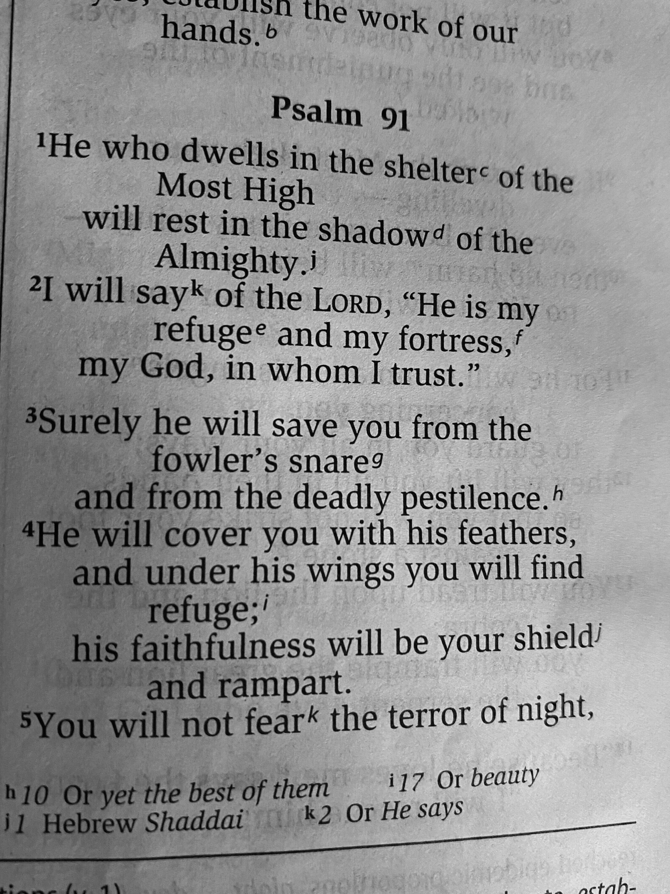 #TuesdayTruth Psalm 91