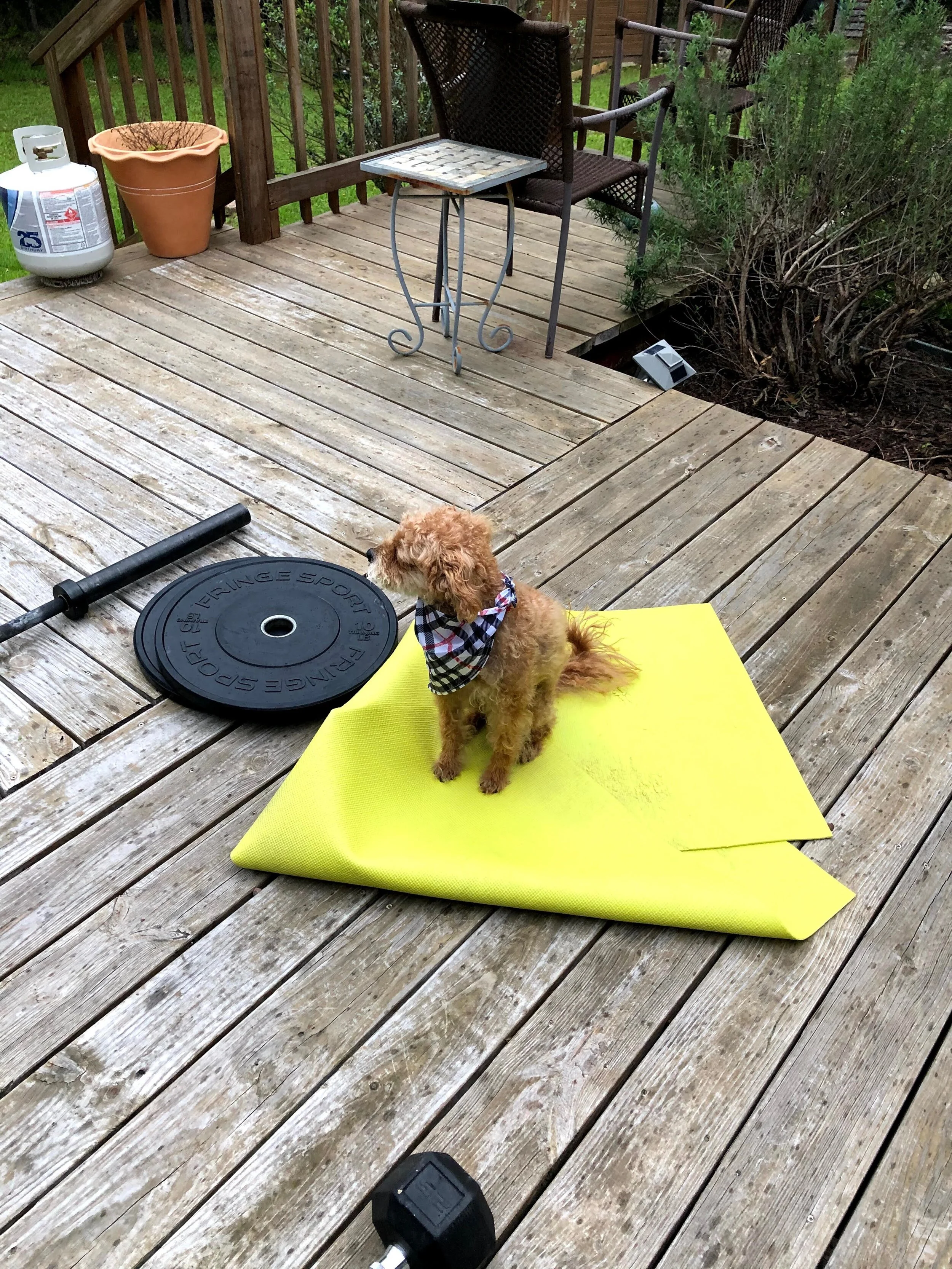 15:10 FITNESS CHALLENGE DAY 5 / AT-HOME WORKOUT 4.17.20