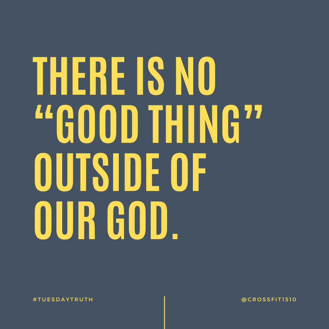 #TuesdayTruth Psalms 16:2,11