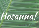 PalmSunday.png