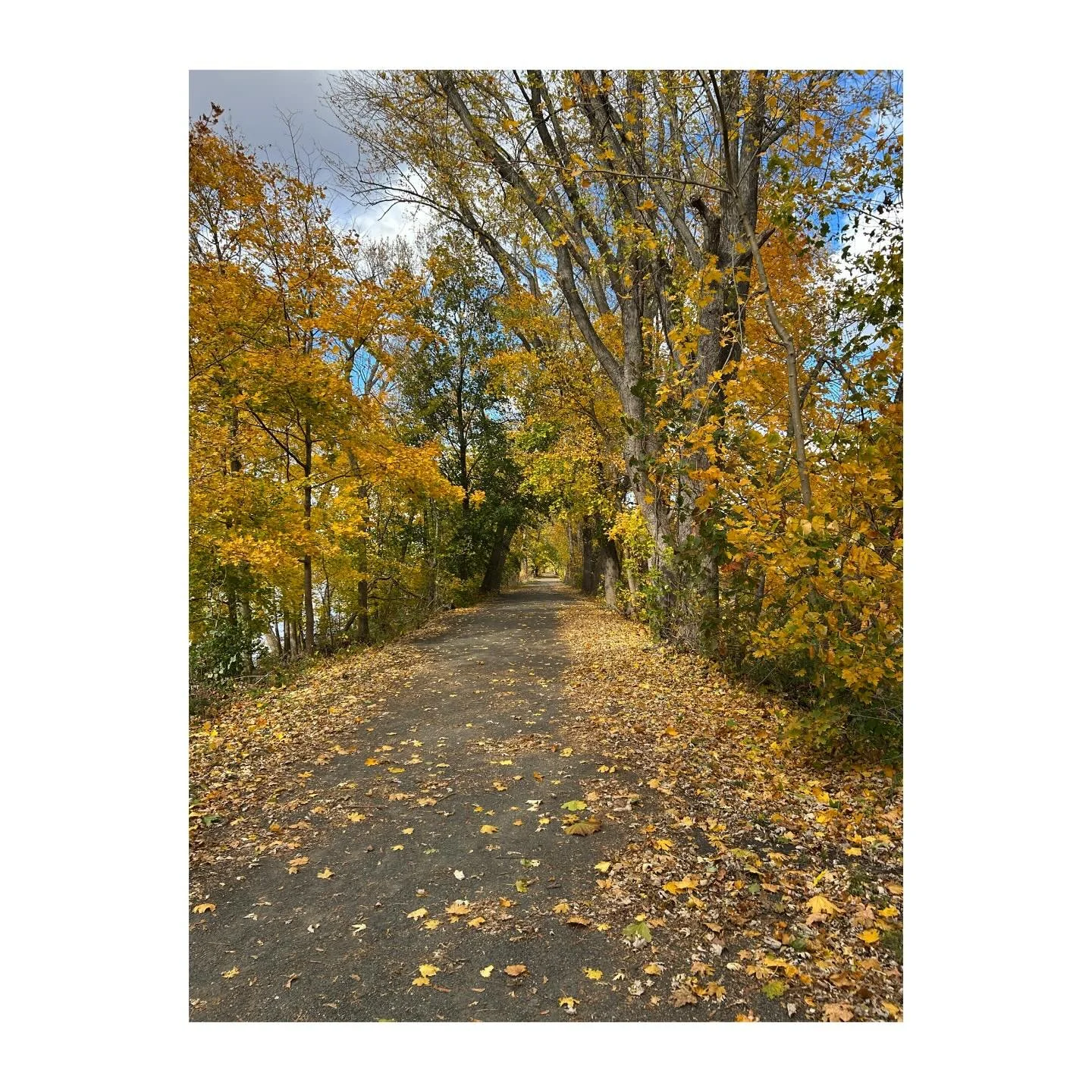 On the path | 11.6.25