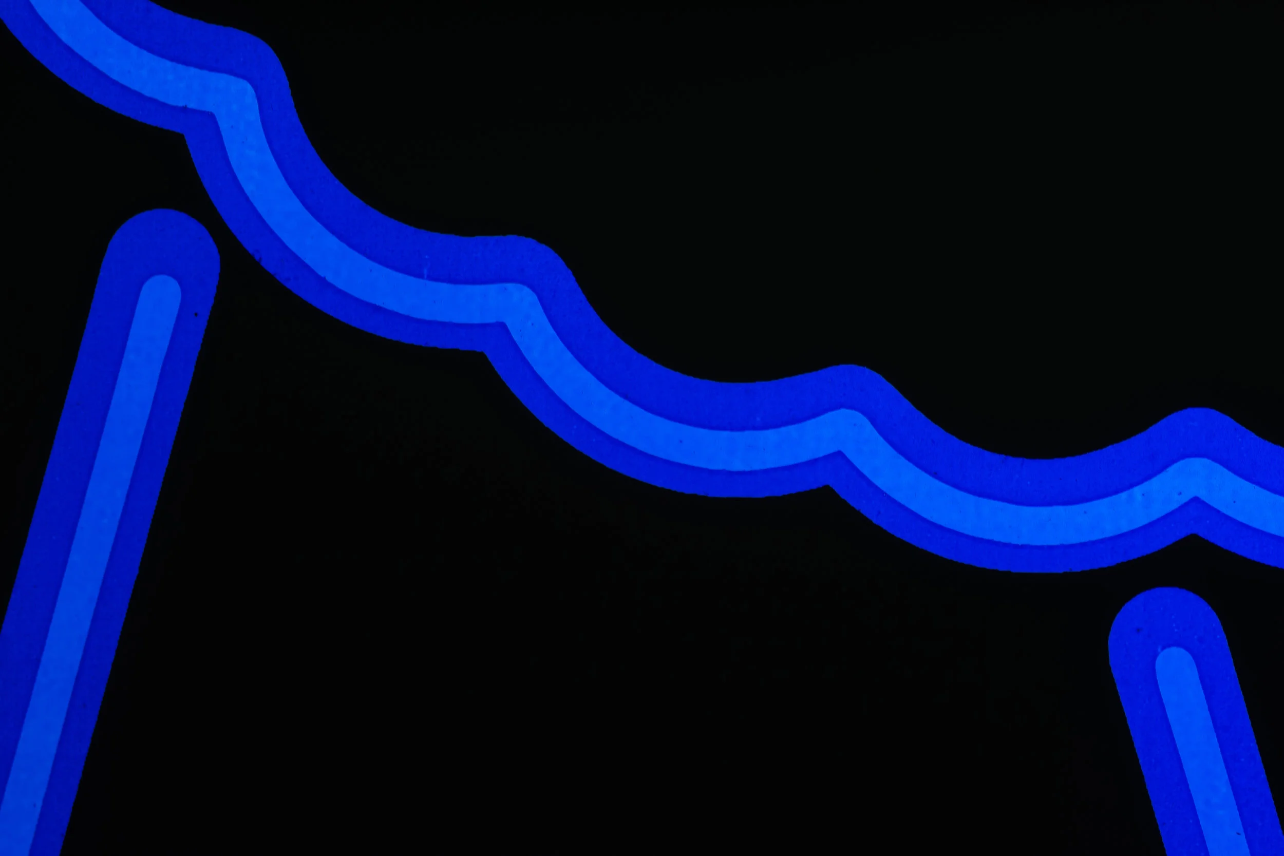 lavender xenon-4.jpg