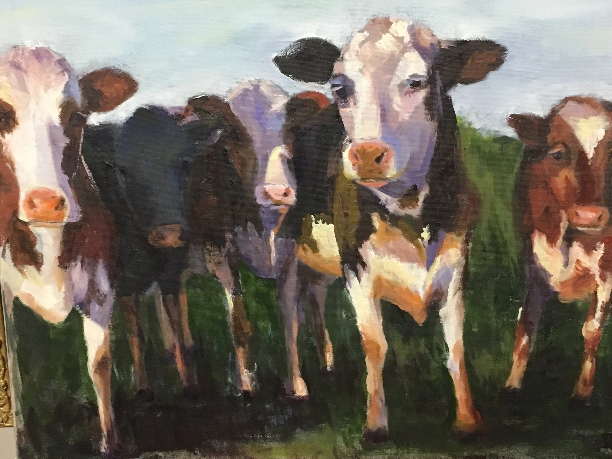 Sunset Cows