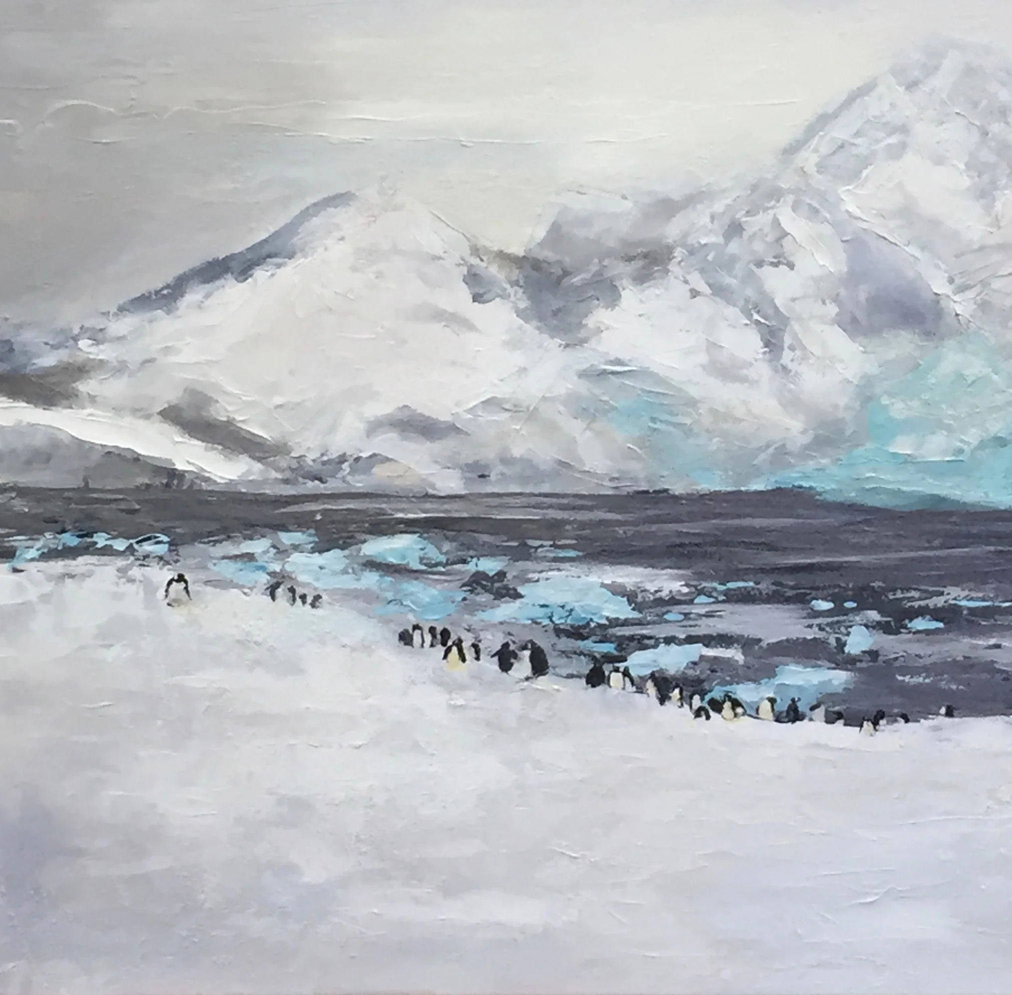 In the Land of Penguins