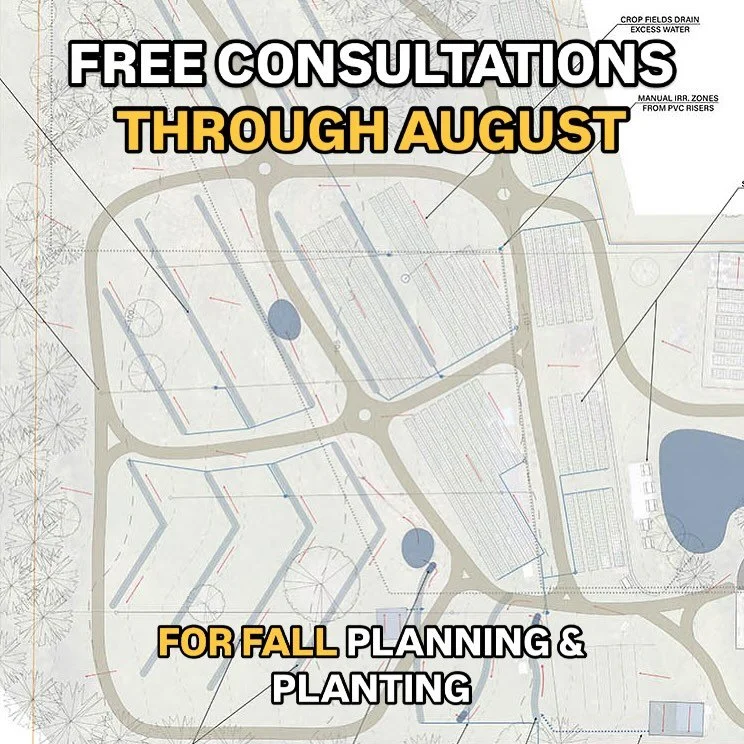 We are currently offering free consultations via Zoom for the month of August to encourage fall planting.

By planting in the fall; plants are able to root deeply over the winter &amp; often require significantly less water once summer arrives.

Plea