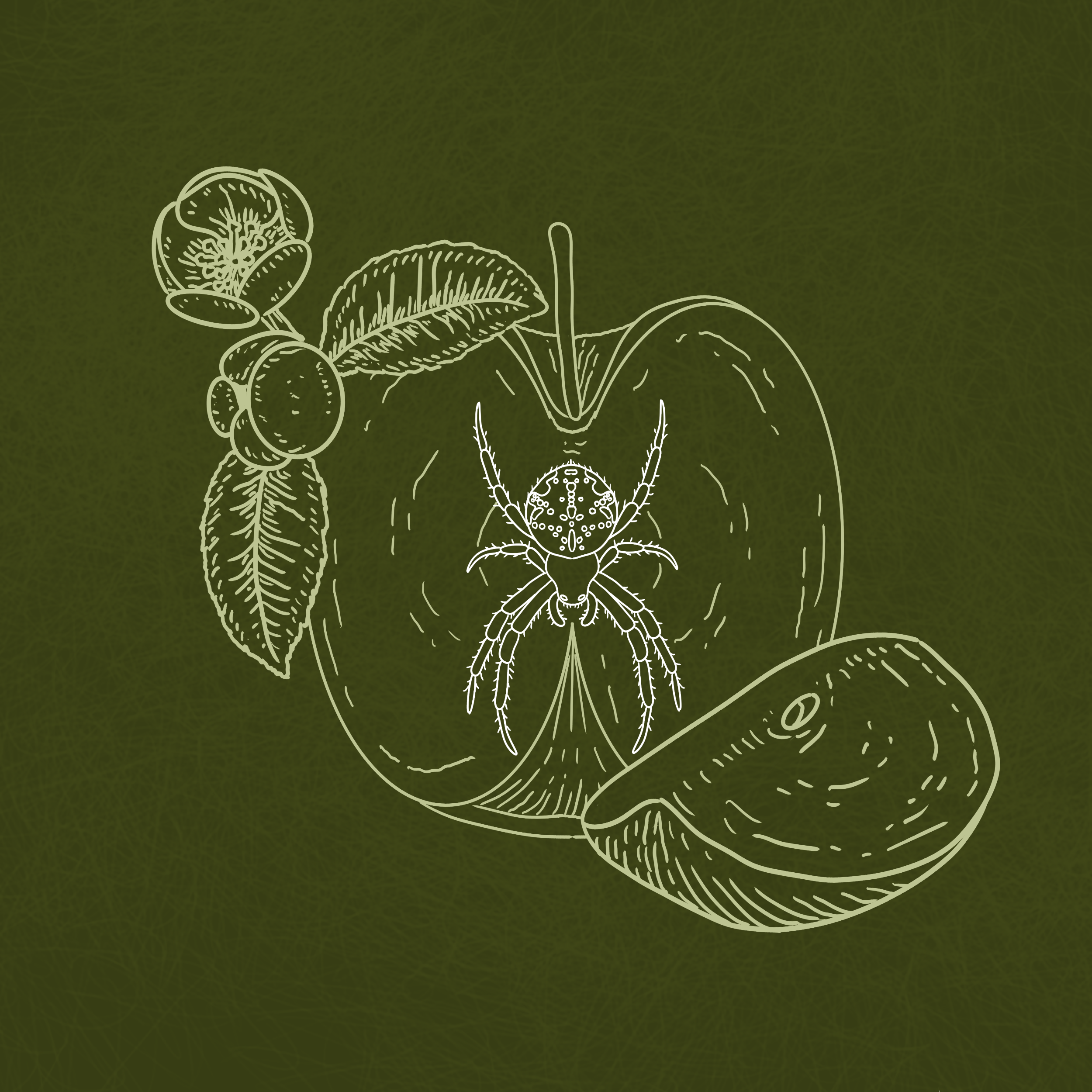 sketch1731116000278(1).png