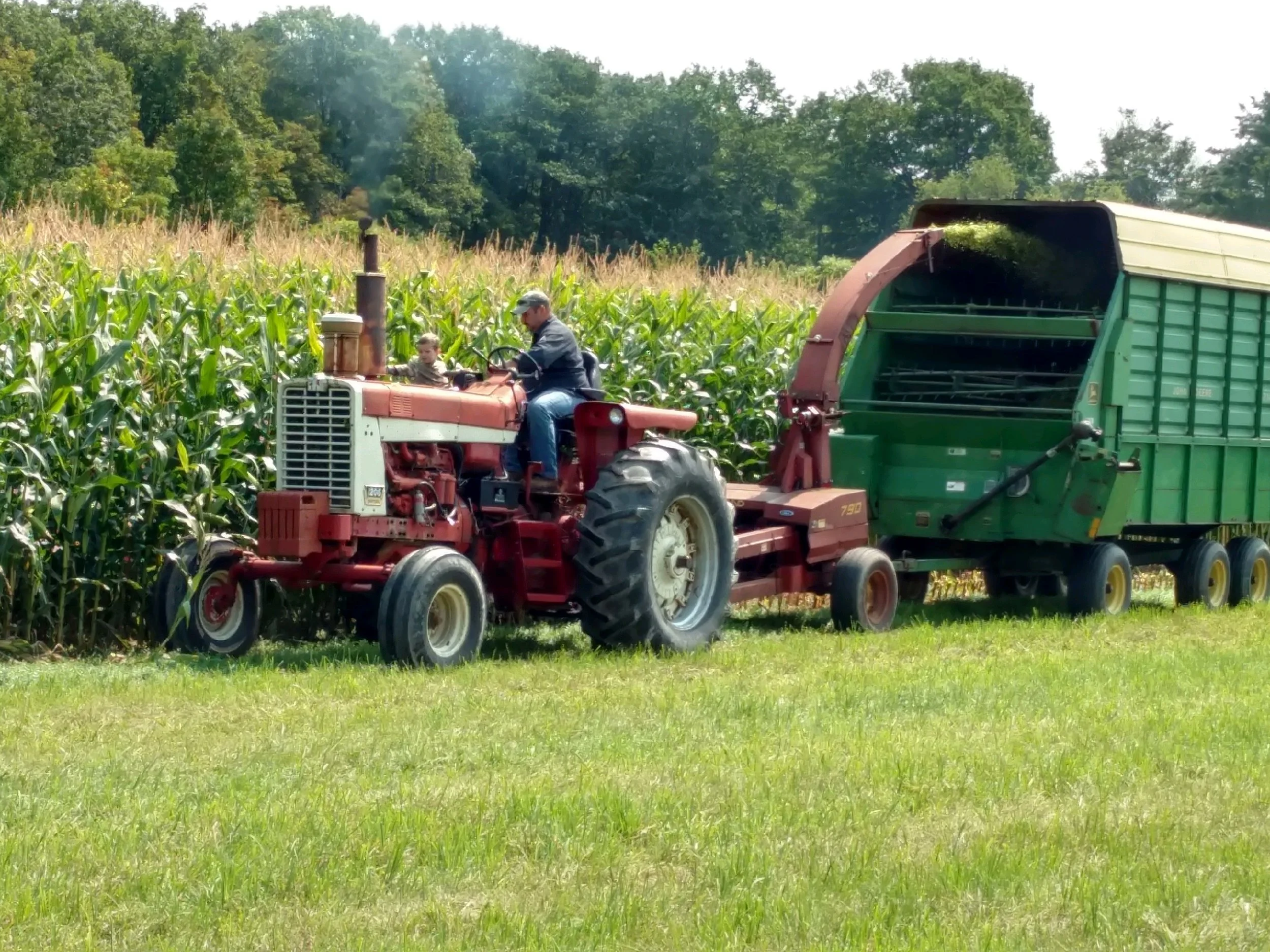 Harvest Time in Old New Scotland