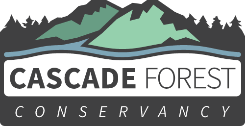 1-CFC-Primary-Logo-Color.png