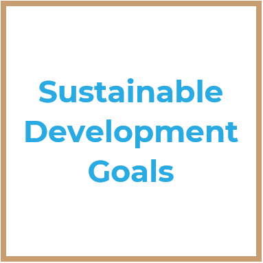 UN SDGs Square.PNG