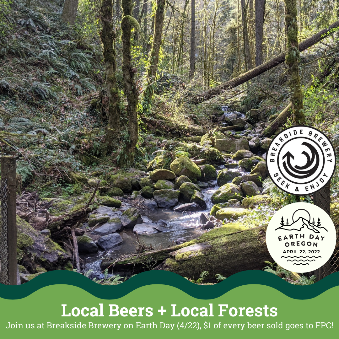 Local Beers + Local Forests (Breakside &amp; Forest Park Conservancy)
