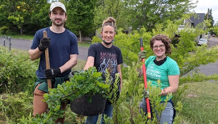 Tree Stewardship Work Party with NCAP &amp; Friends of Trees Eugene