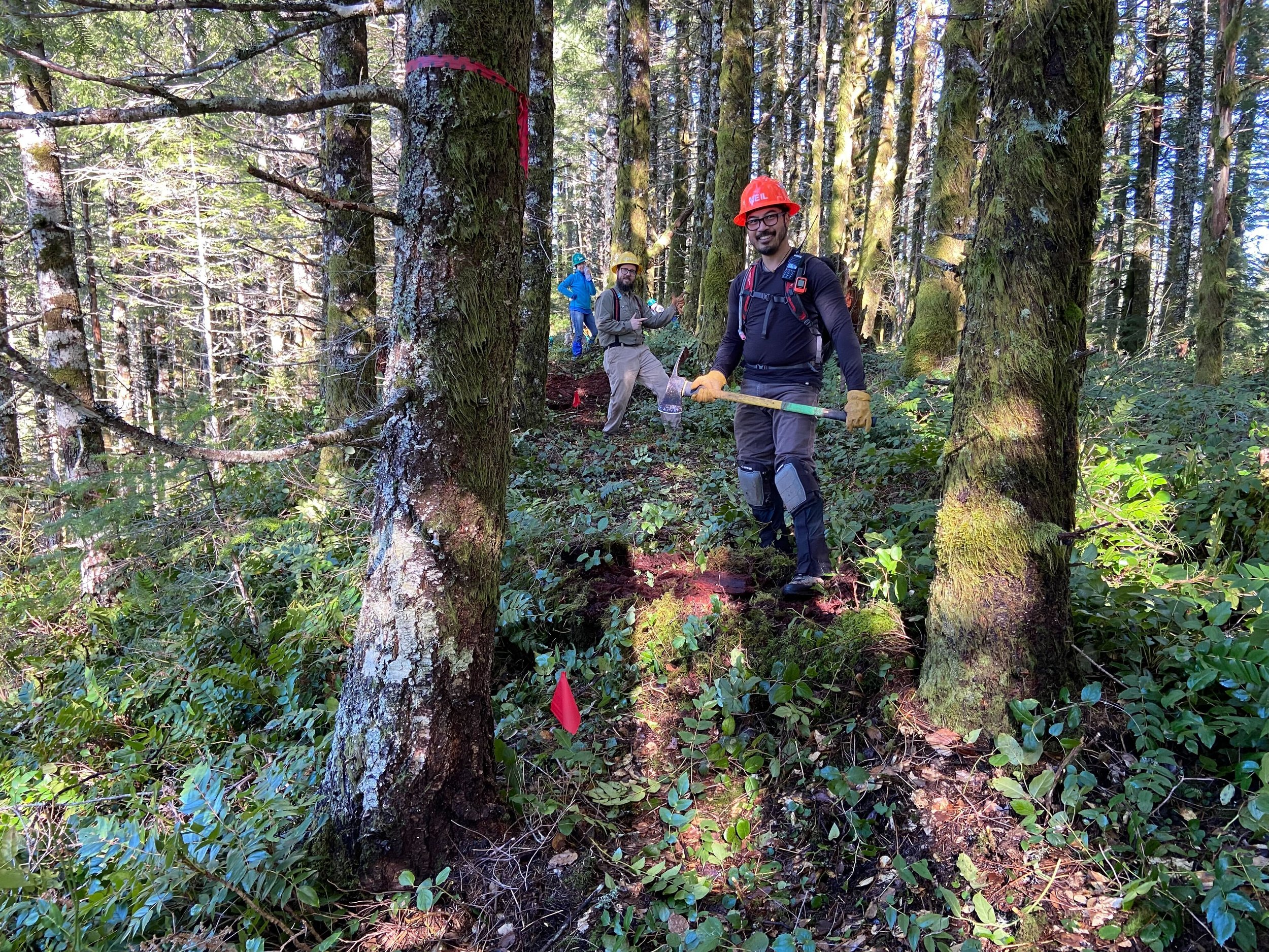 Wilson River Trail Party (with Trailkeepers of Oregon)