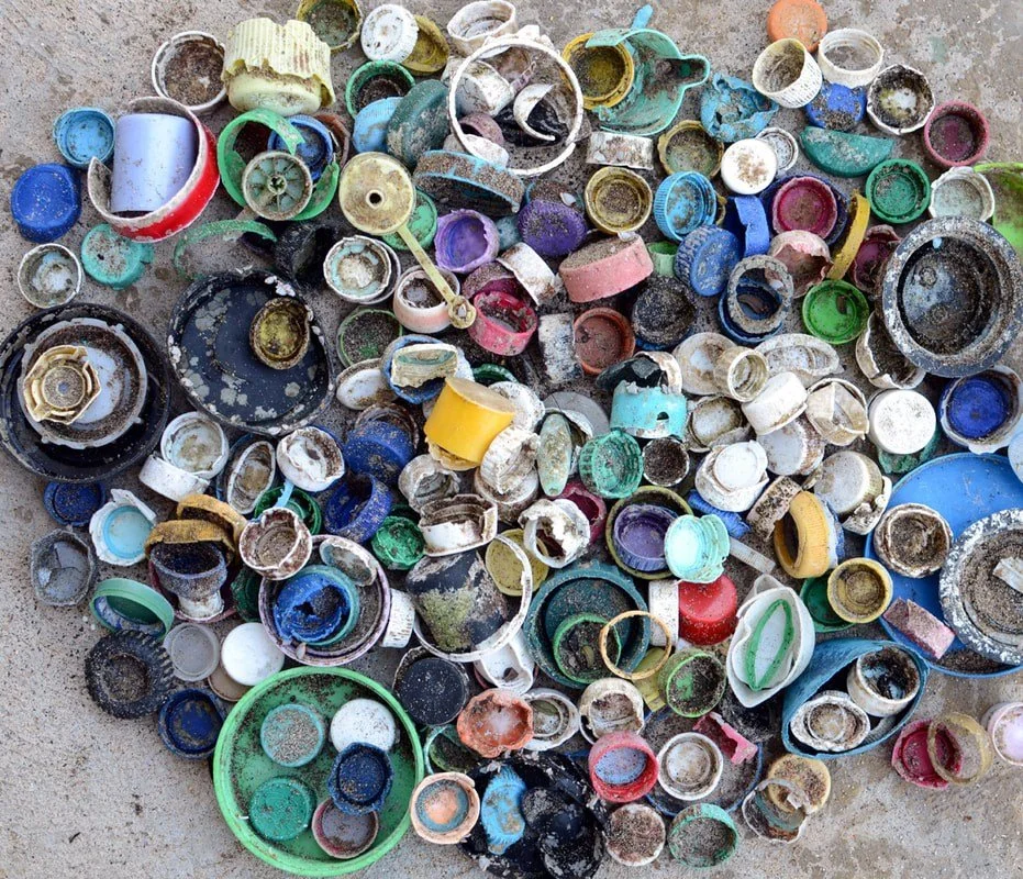 Manzanita Microplastic Beach Cleanup (with Ocean Blue)