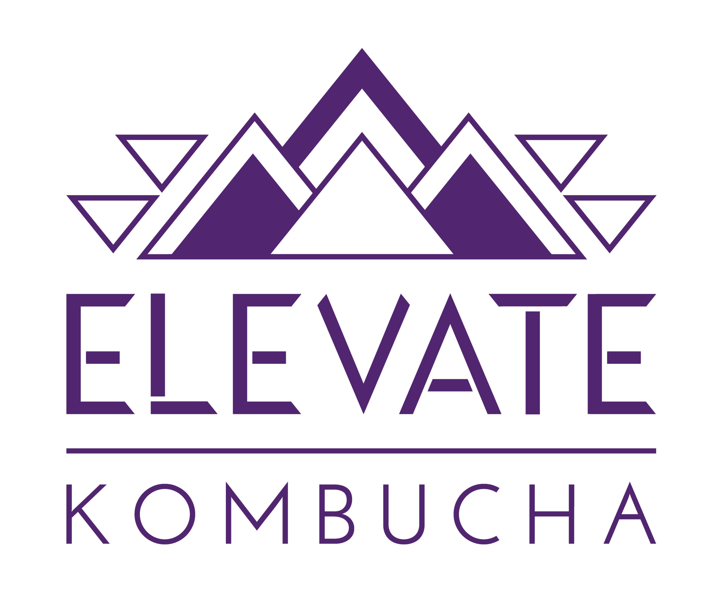Elevate Kombucha Logo.png
