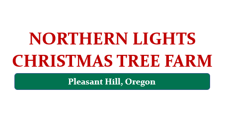 Northern Lights Christmas Tree Farm logo 1.PNG