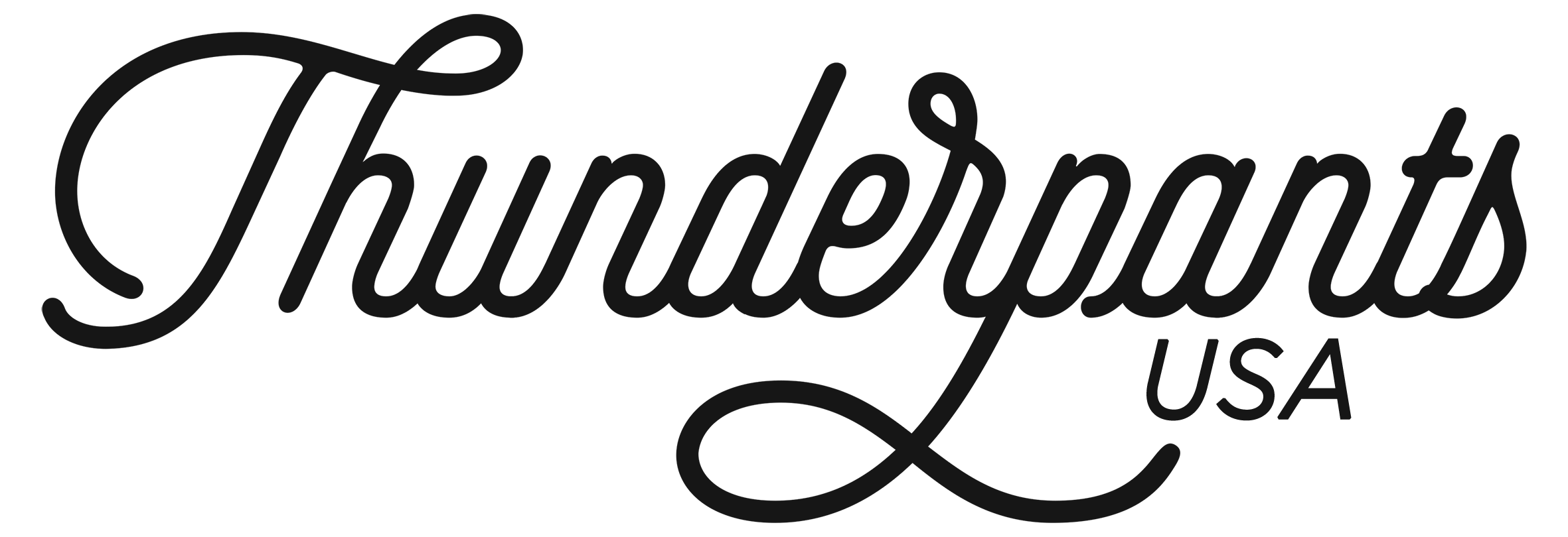 ThunderpantsUSA logo.png