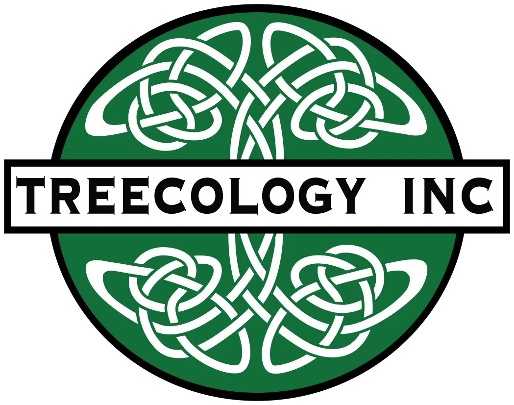 Treecology logo 1.jpg