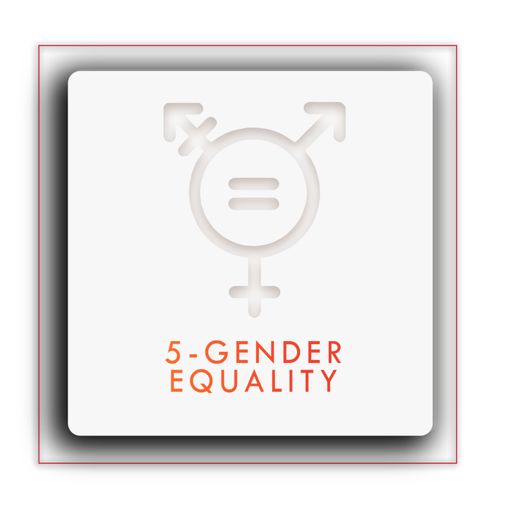 5-Gender.png