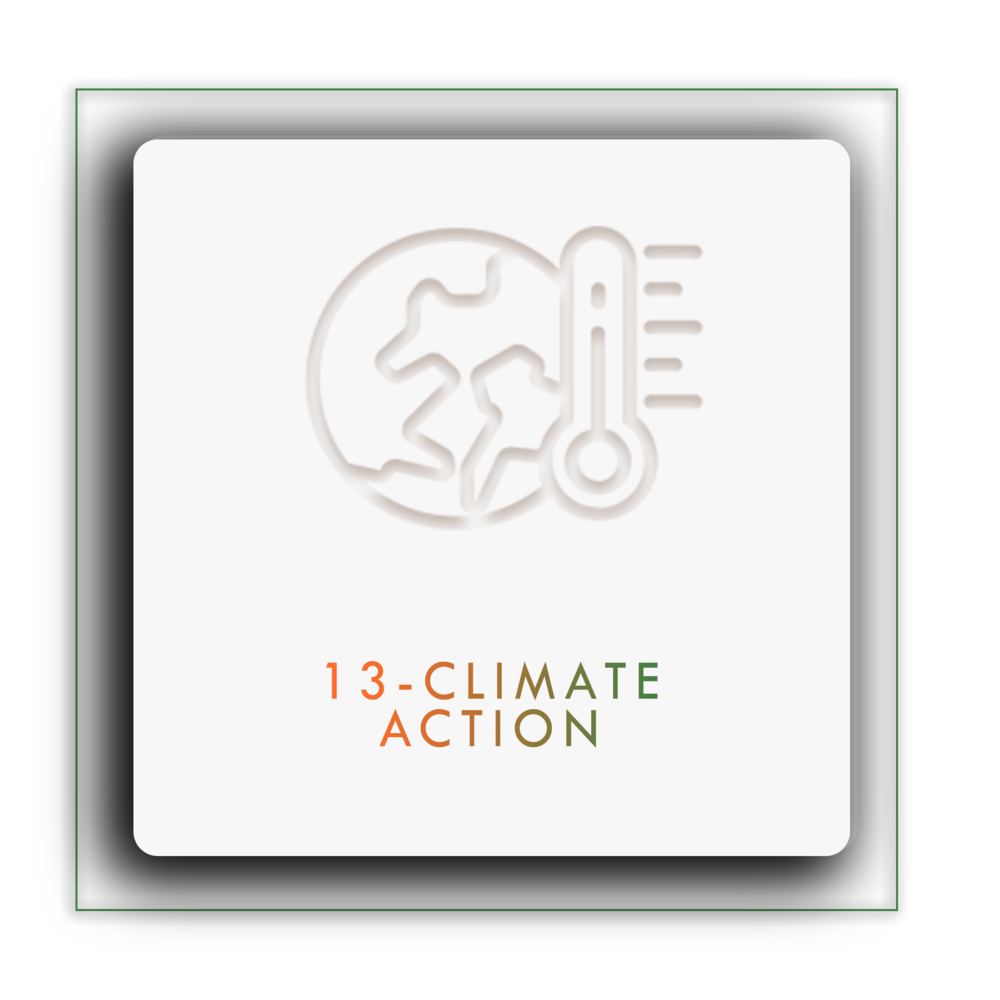 13-ClimateAction.png