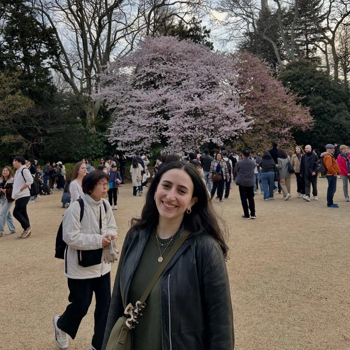 Hotly anticipated Japan travel dump has arrived