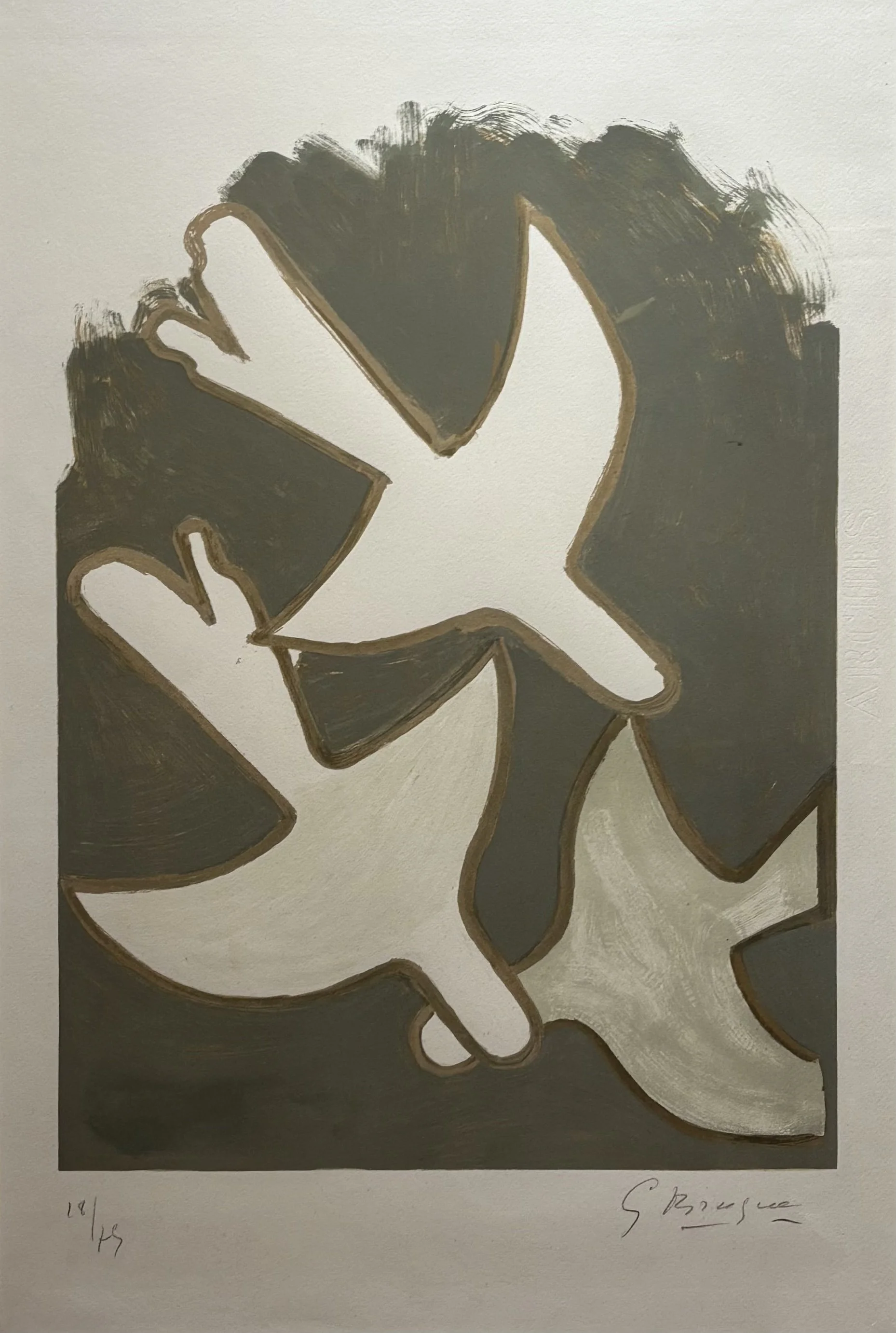 Les Oiseaux Blancs