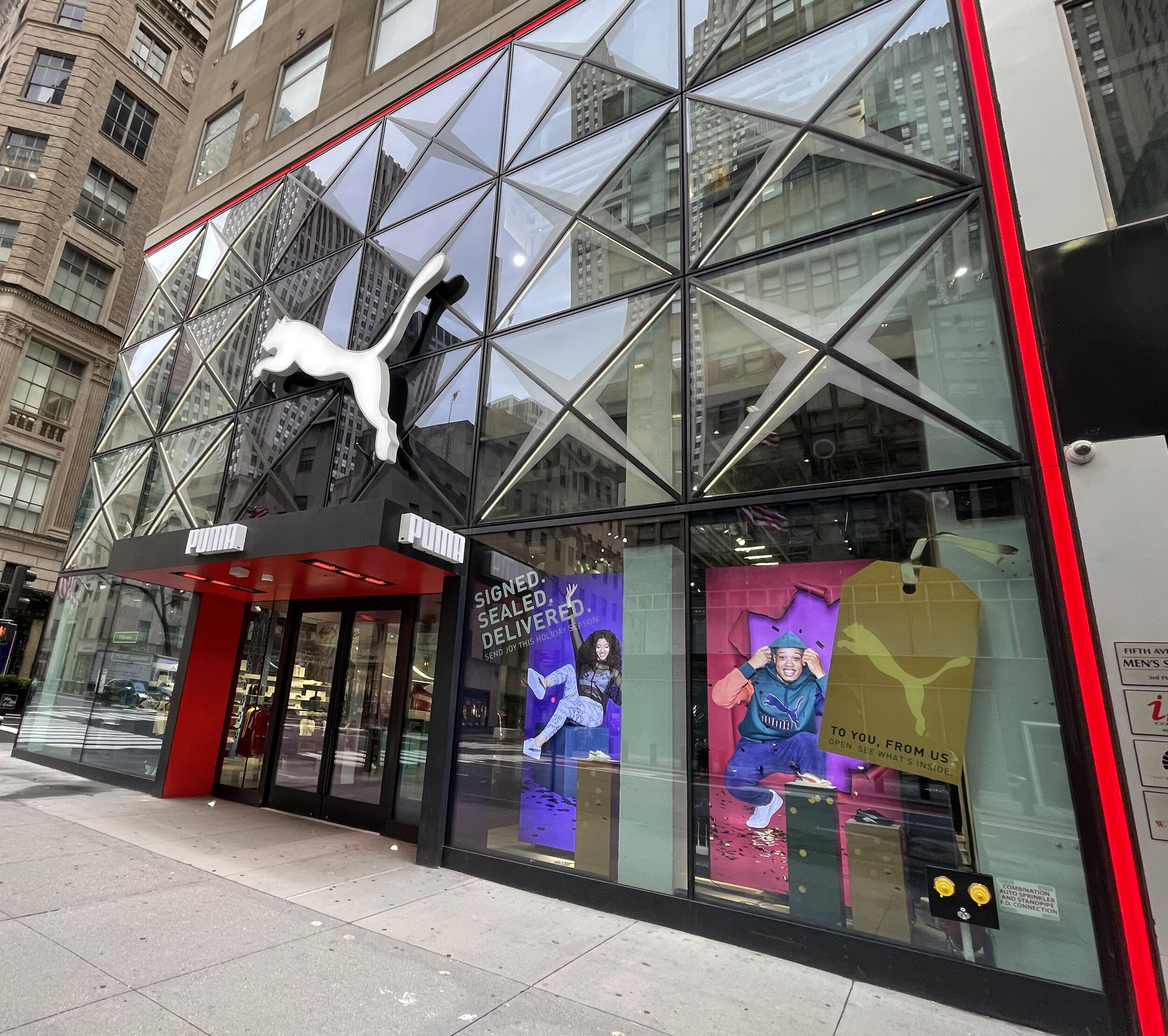 Holiday Windows 2020.jpg